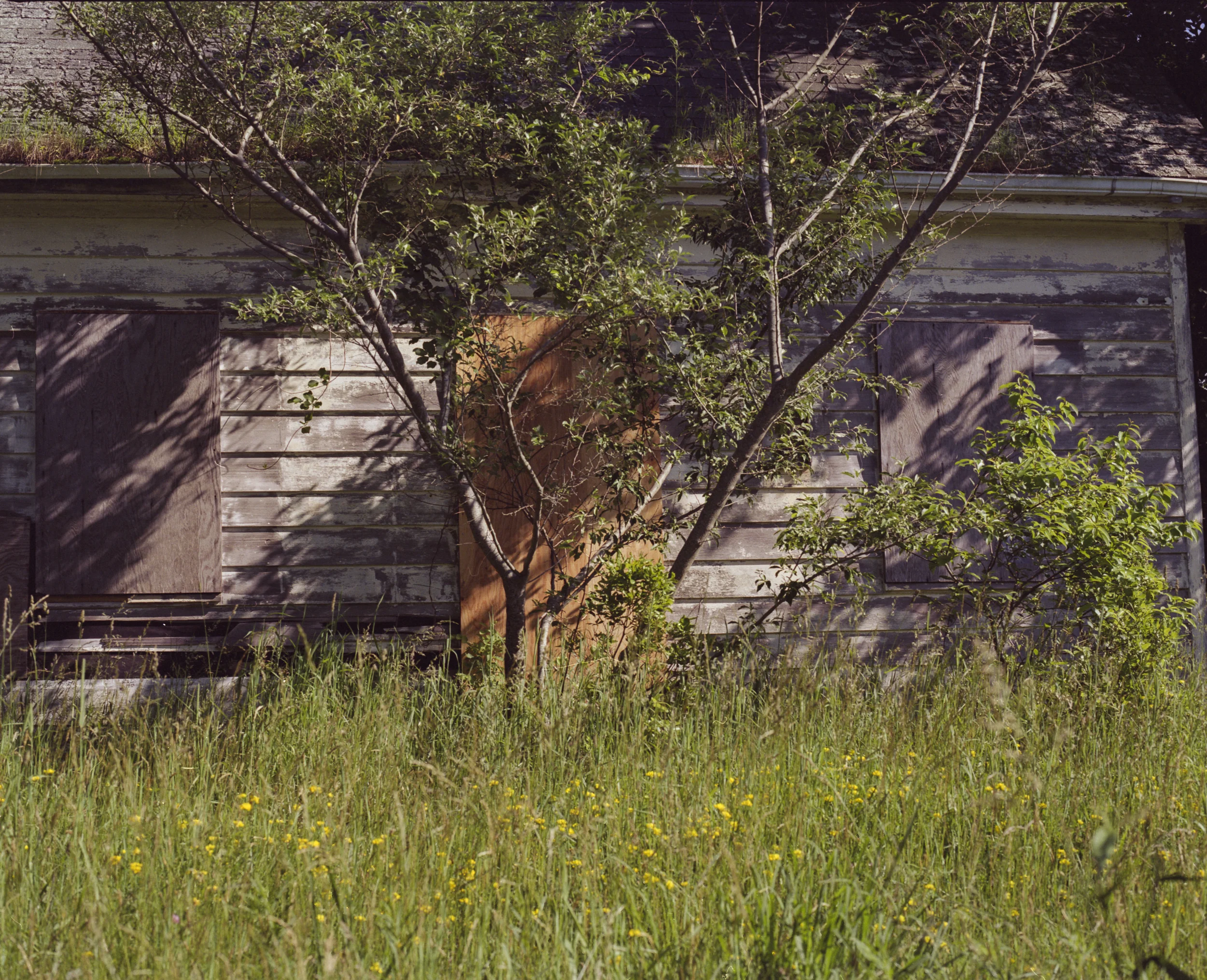 suburban-decay-long-island-ny-montauk-abandoned-house-camp-hero-mamiya-rz67-film.jpg