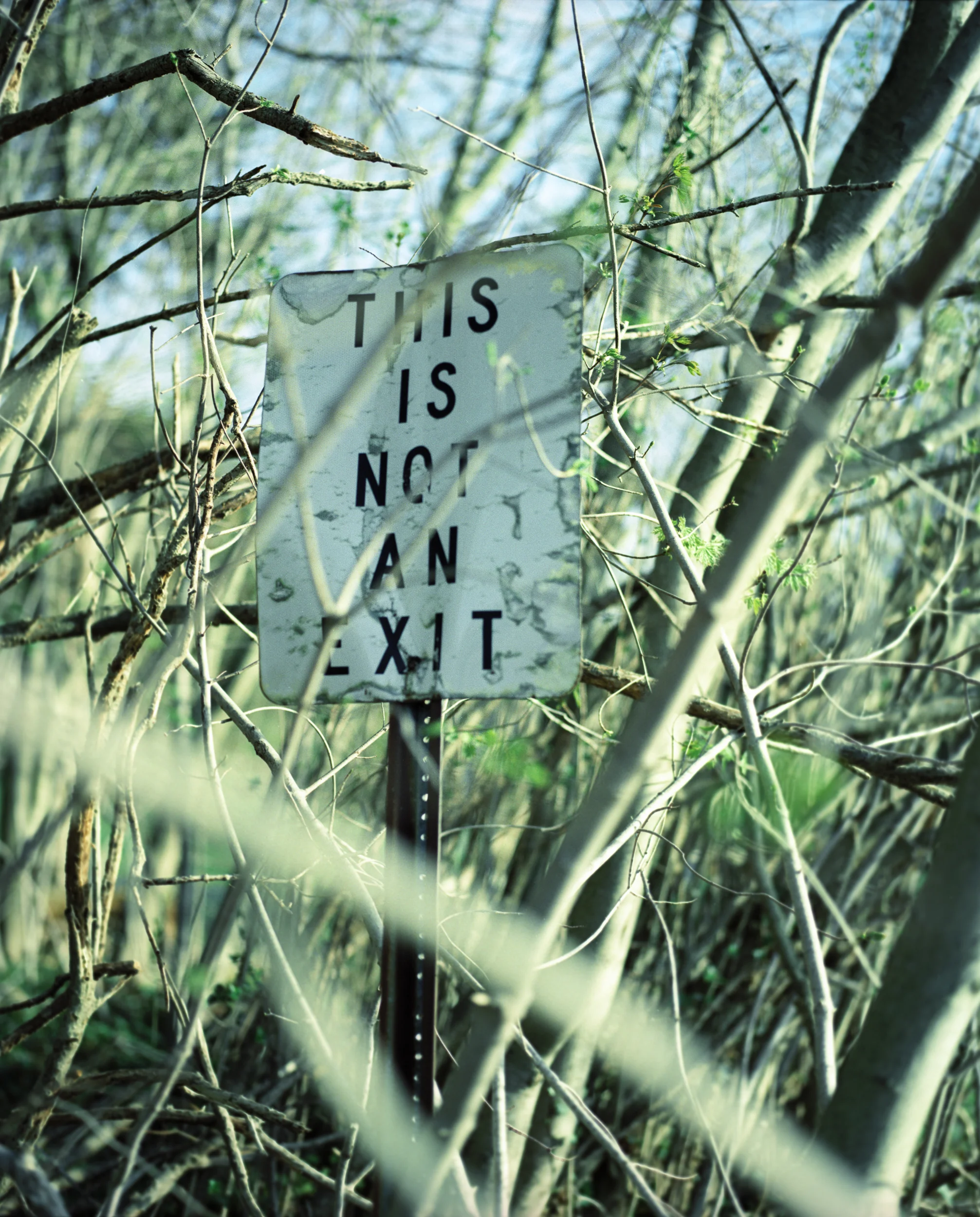 suburban-decay-long-island-ny-patchogue-mamiya-film-abandoned-this-is-not-an-exit-ruins.jpg
