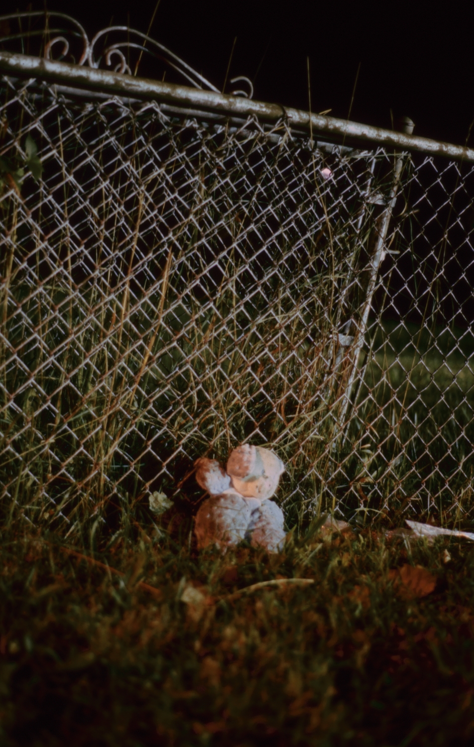bear-fence-sububan-abandoned-left-beind-long-island-ny.jpg