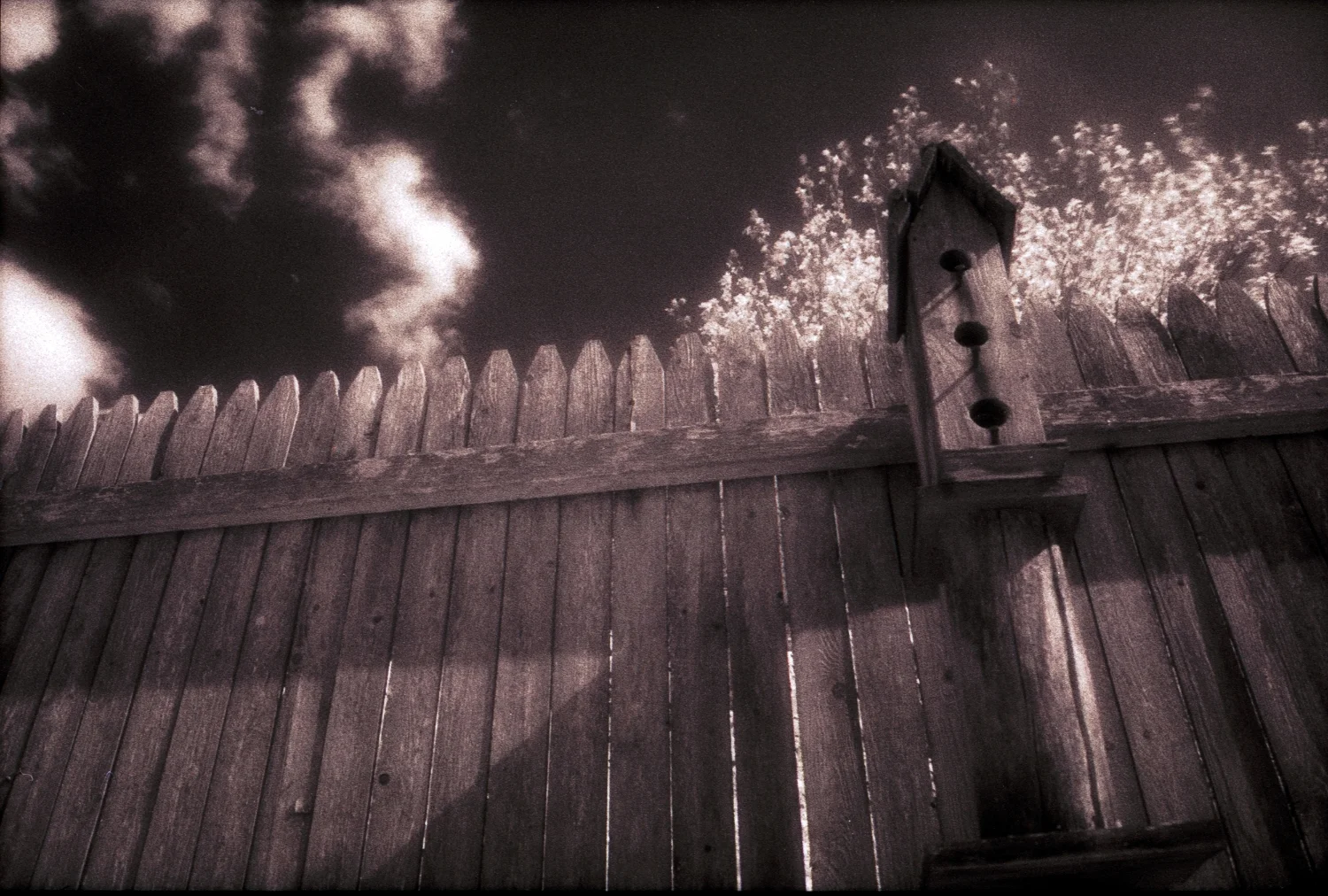 fence-infrared-agfa-experimental-photography-black-and-white-35mm-film.jpg