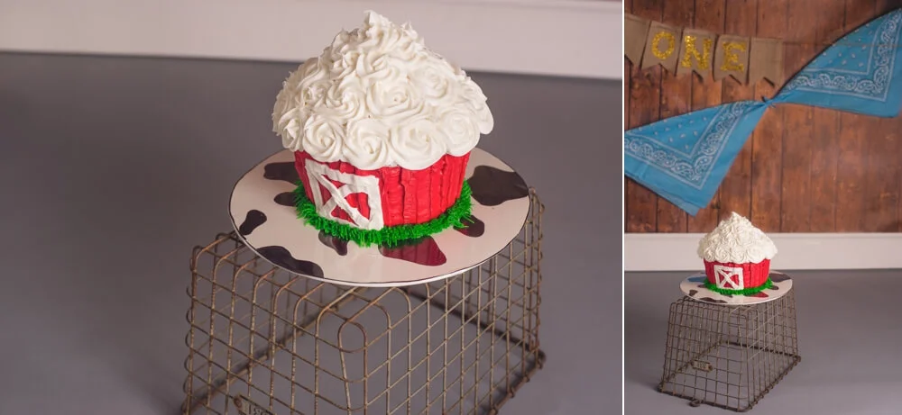 Josh_First_Birthday_Photo_Cake_Smash_Photography_Long_Island_Photographer