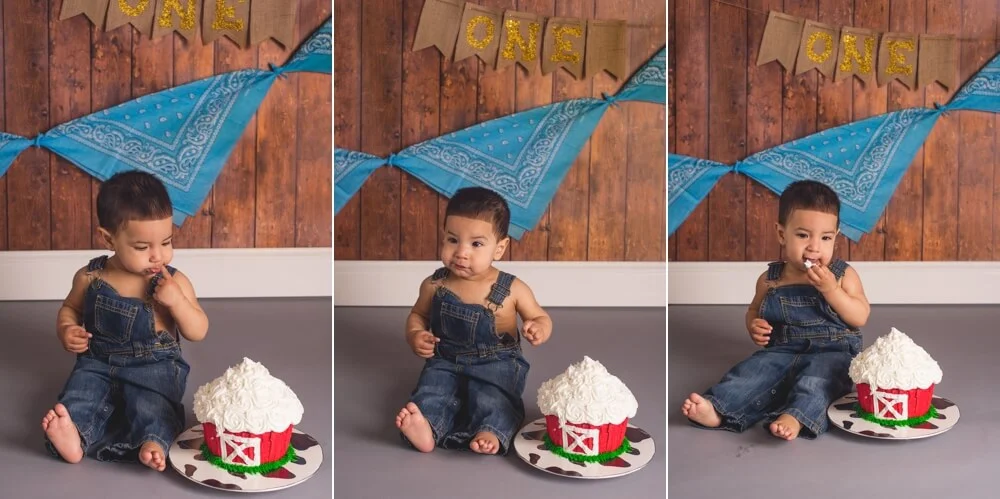 Josh_First_Birthday_Photo_Cake_Smash_Photography_Long_Island_Photographer