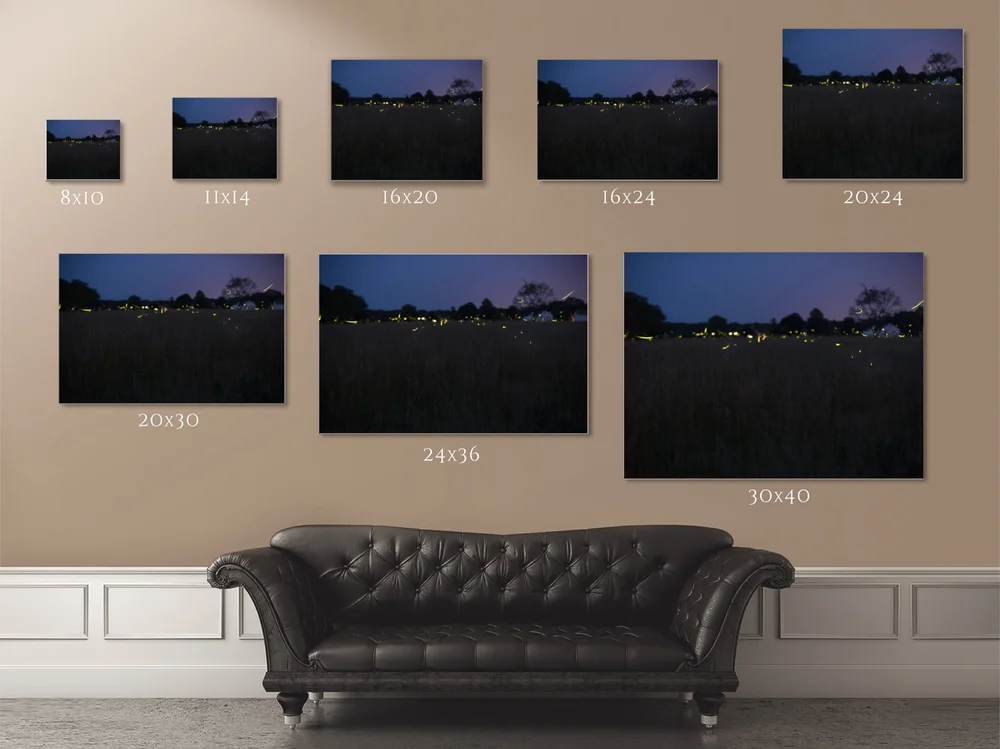 Landscape Photography Fireflies Long Island Photo Wall Art Firefly Photography Nature Home Decor Night Photography Park Fine Art Long Island New York Creative Portrait Family Wedding Photography