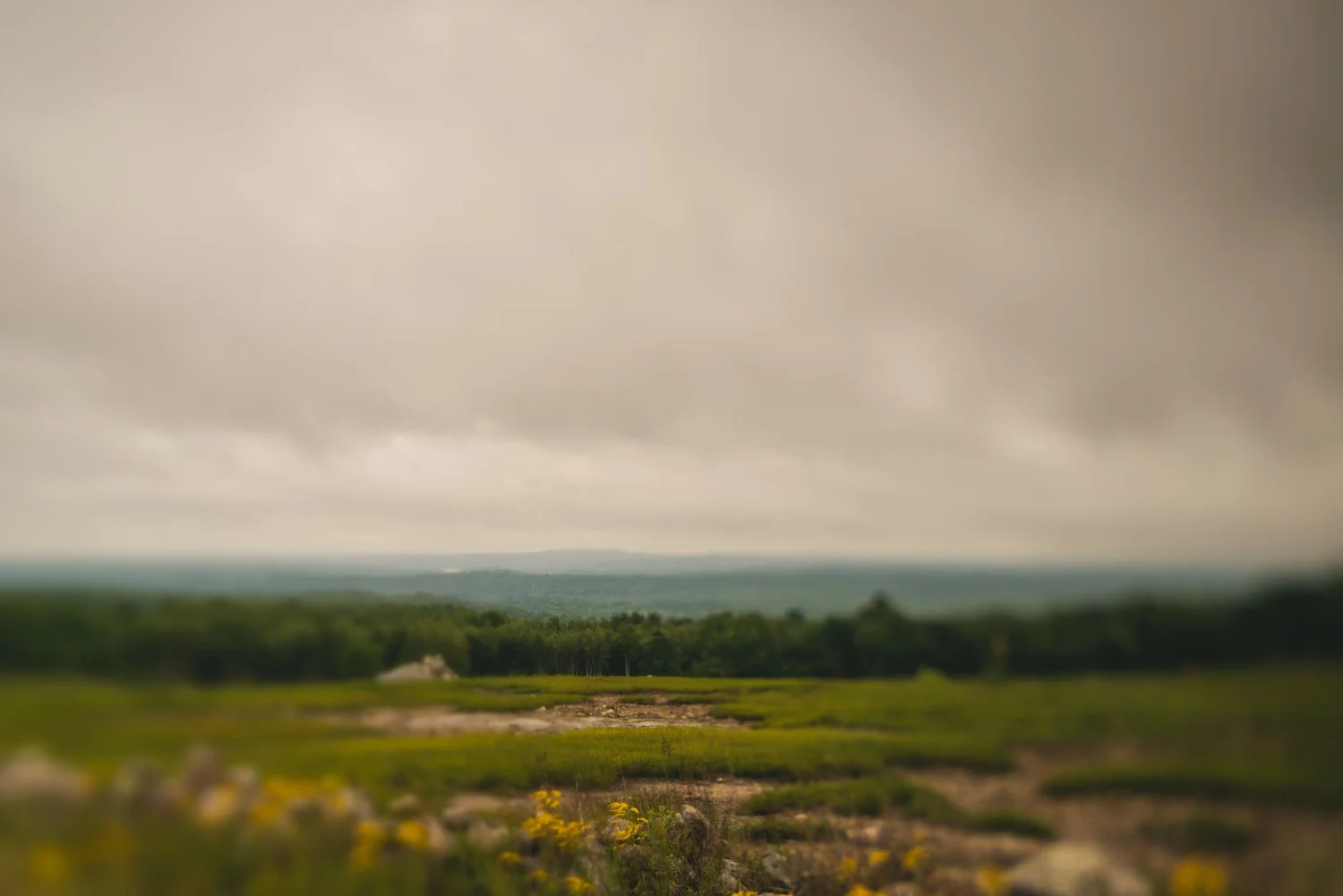 clarry_hill_trail_Maine-001.jpg