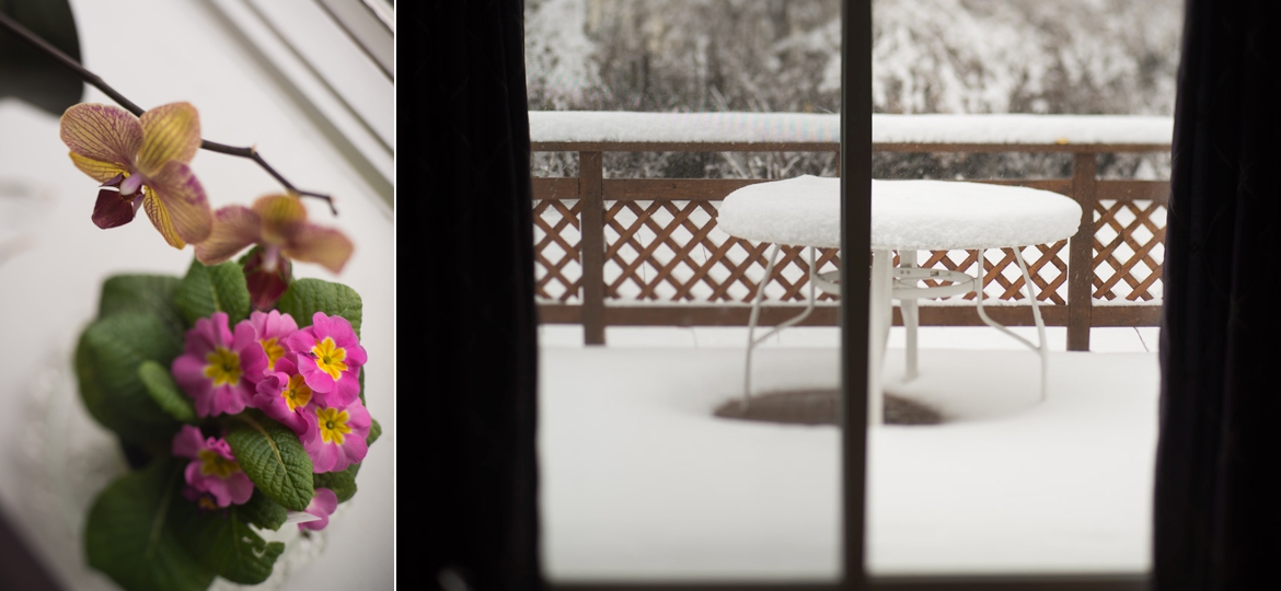 snow-long-island-lensbaby-edge-80-flowers1.jpg