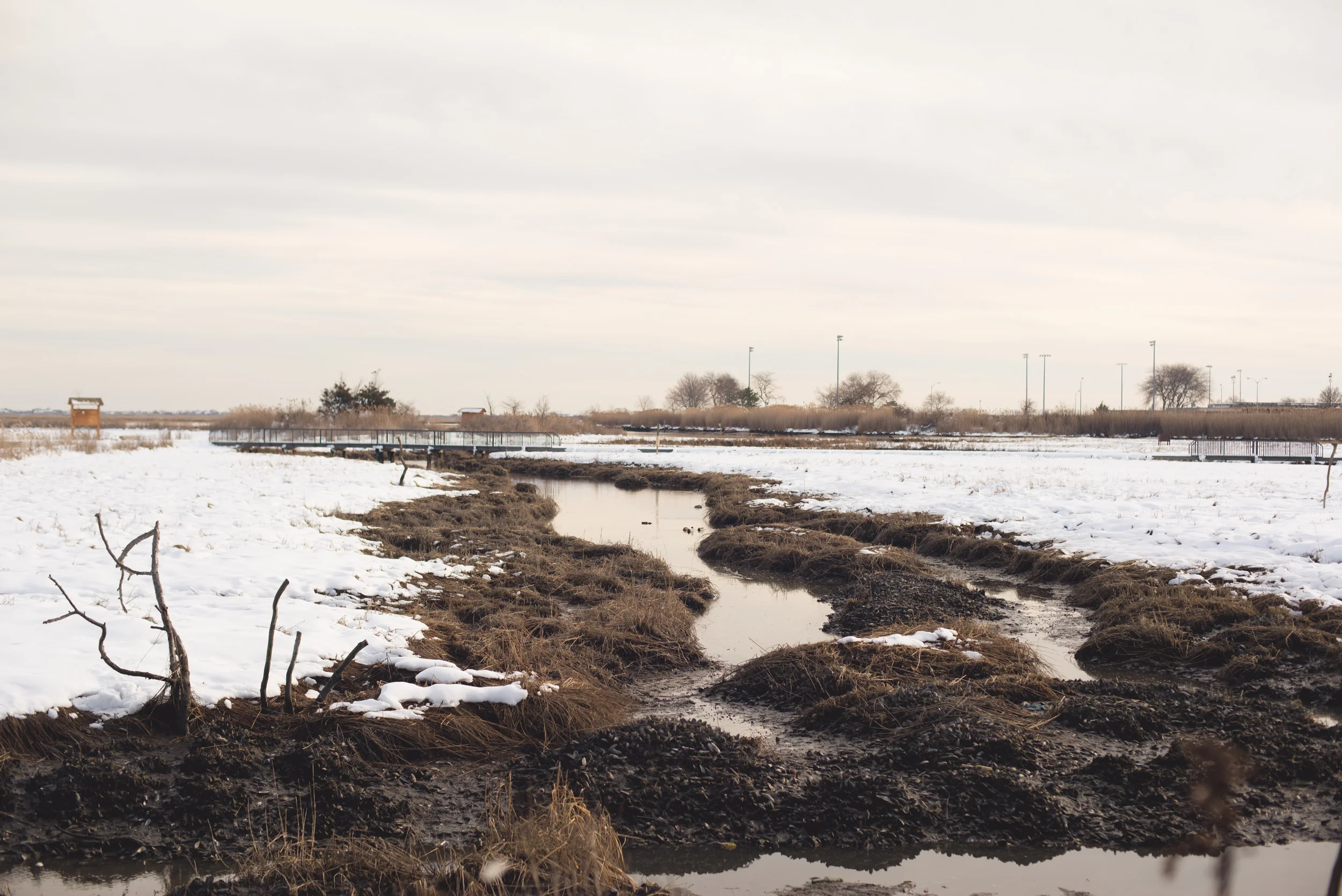 oceanside-winter-Marine-Nature-Study-Area-long-island-3.jpg