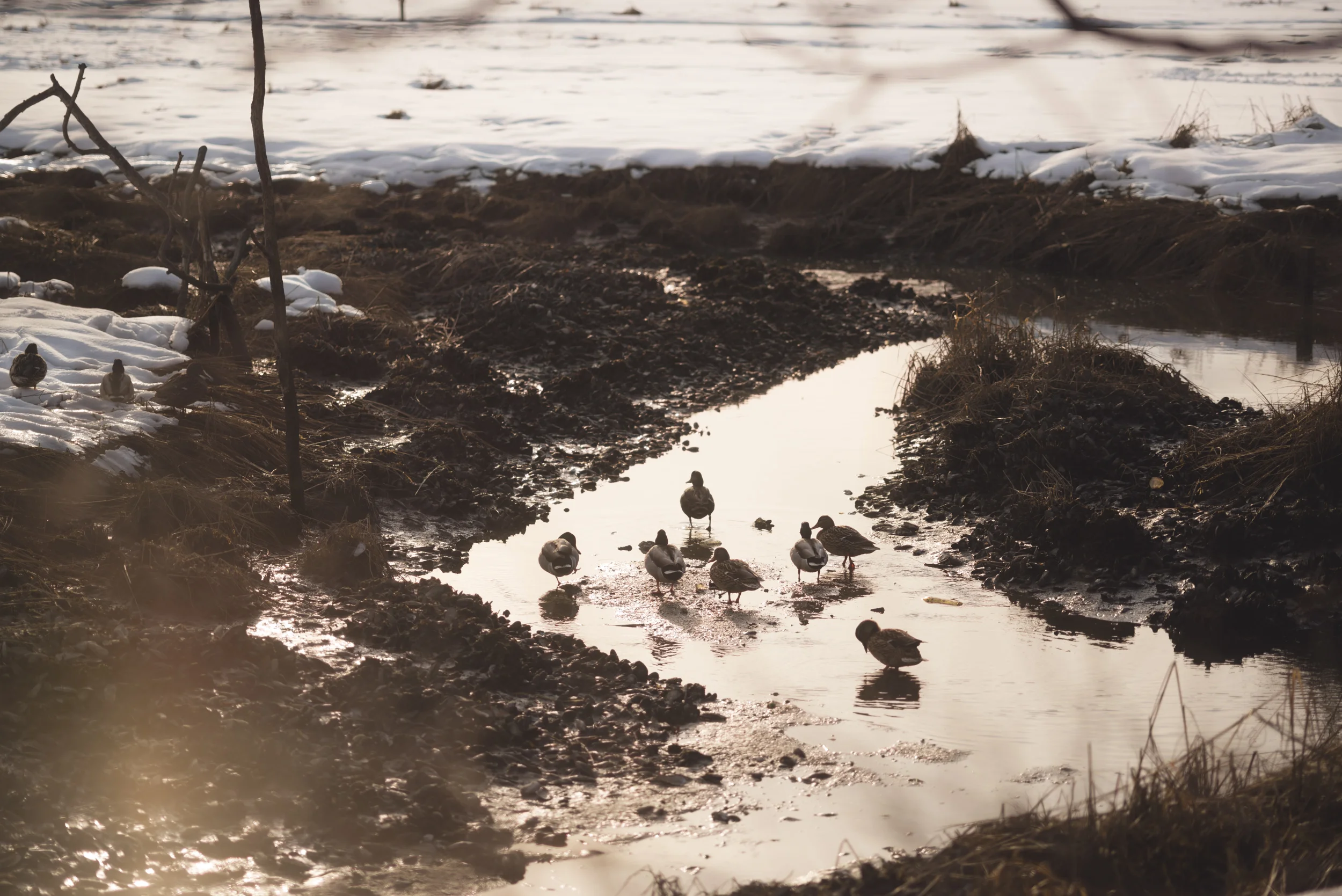 oceanside-winter-Marine-Nature-Study-Area-long-island-9.jpg