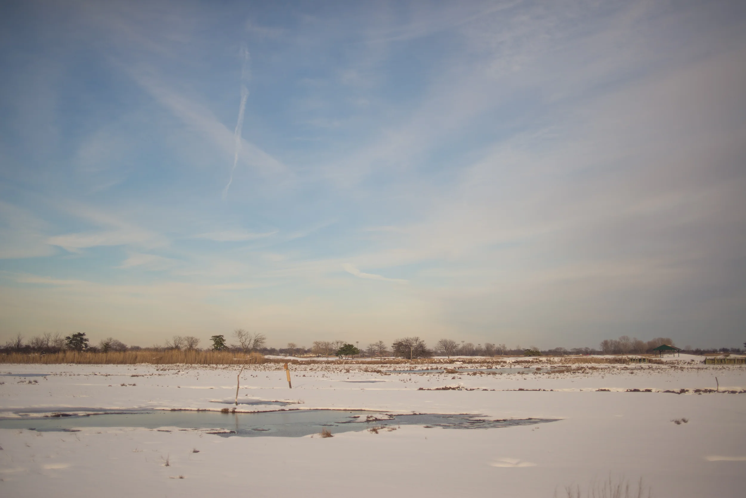 oceanside-winter-Marine-Nature-Study-Area-long-island-28.jpg