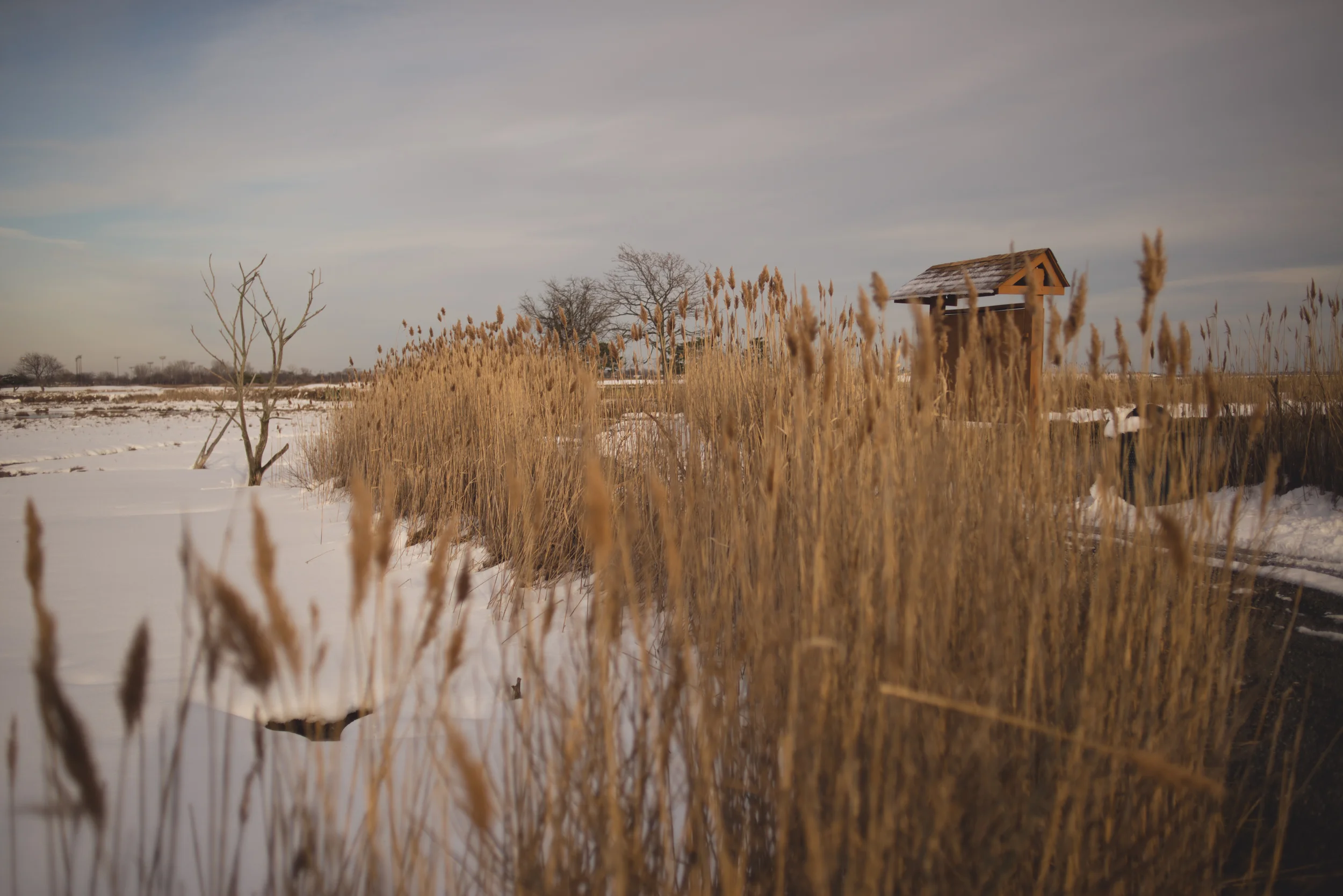 oceanside-winter-Marine-Nature-Study-Area-long-island-29.jpg