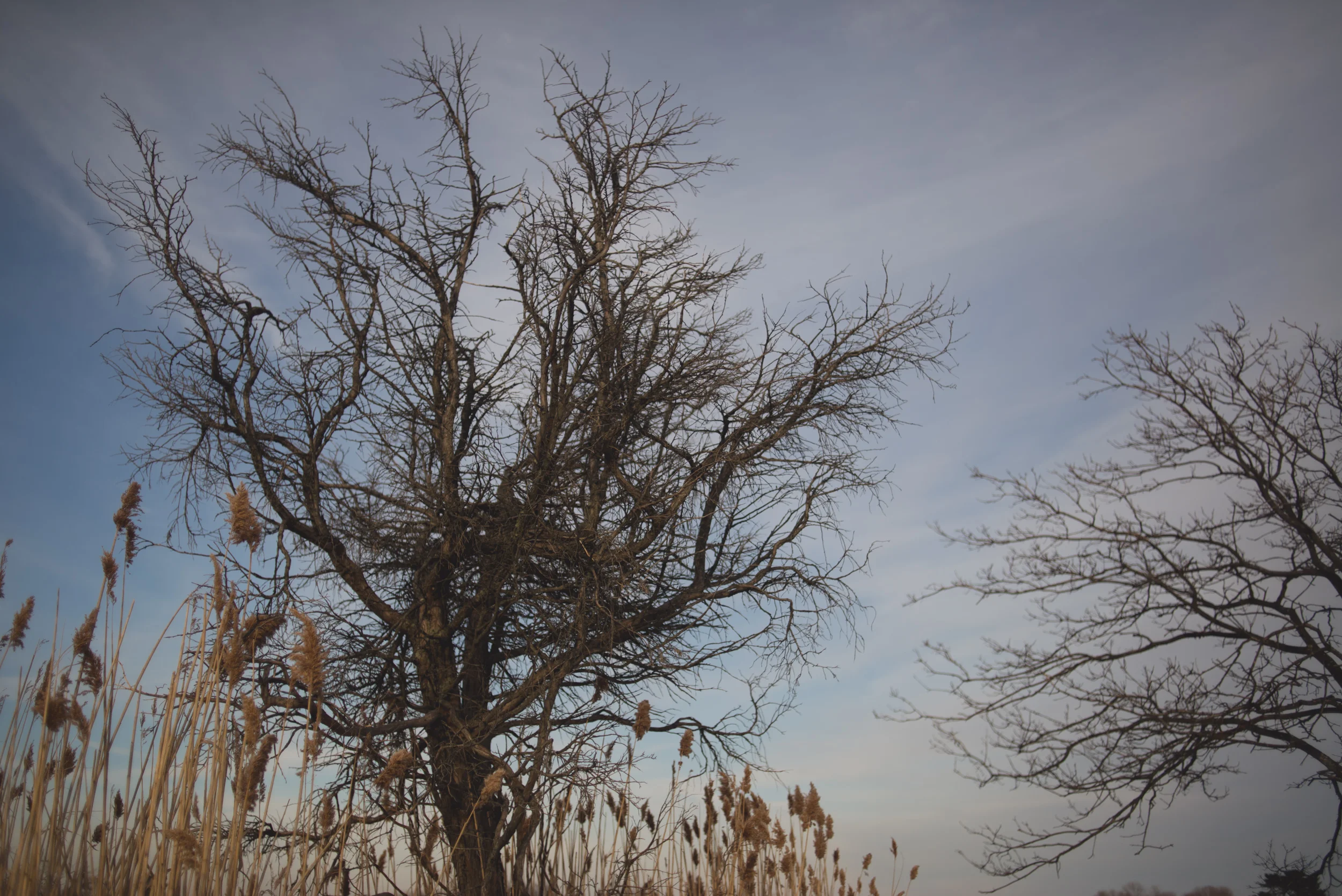 oceanside-winter-Marine-Nature-Study-Area-long-island-40.jpg