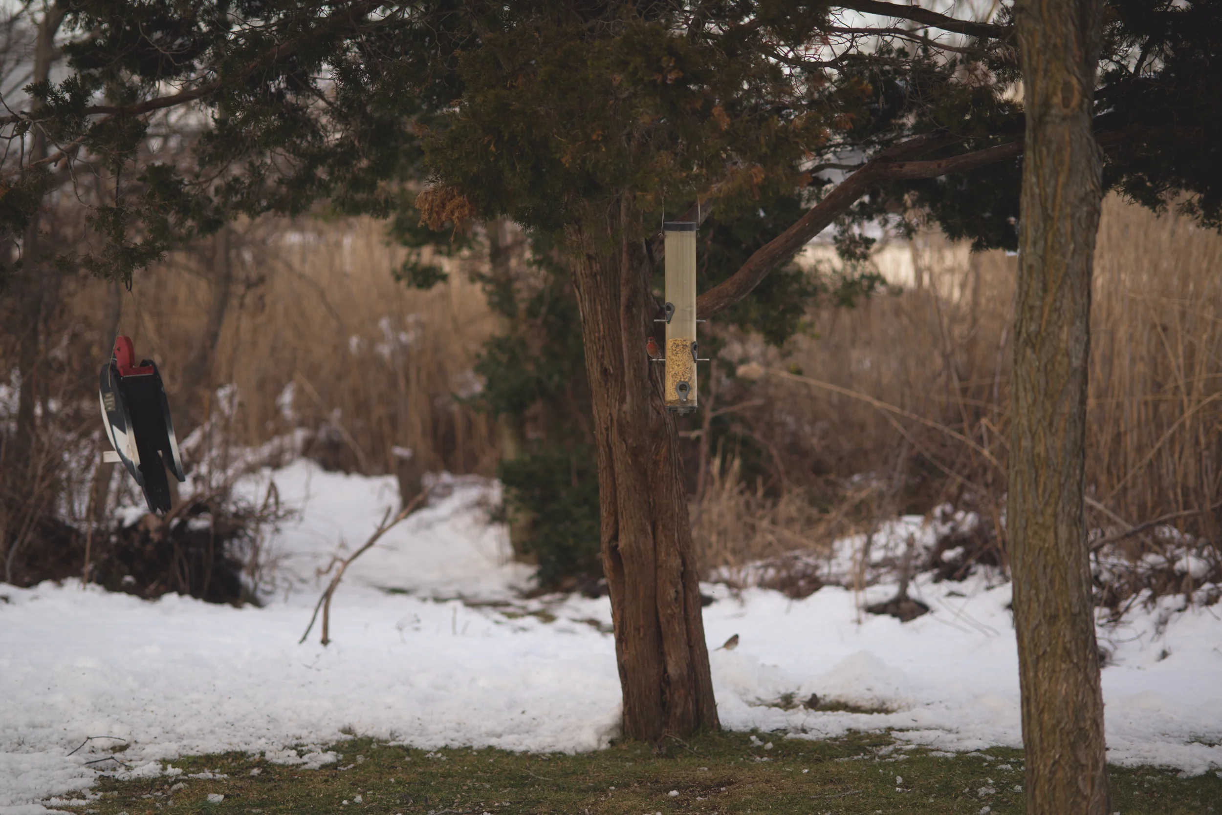 oceanside-winter-Marine-Nature-Study-Area-long-island-68.jpg