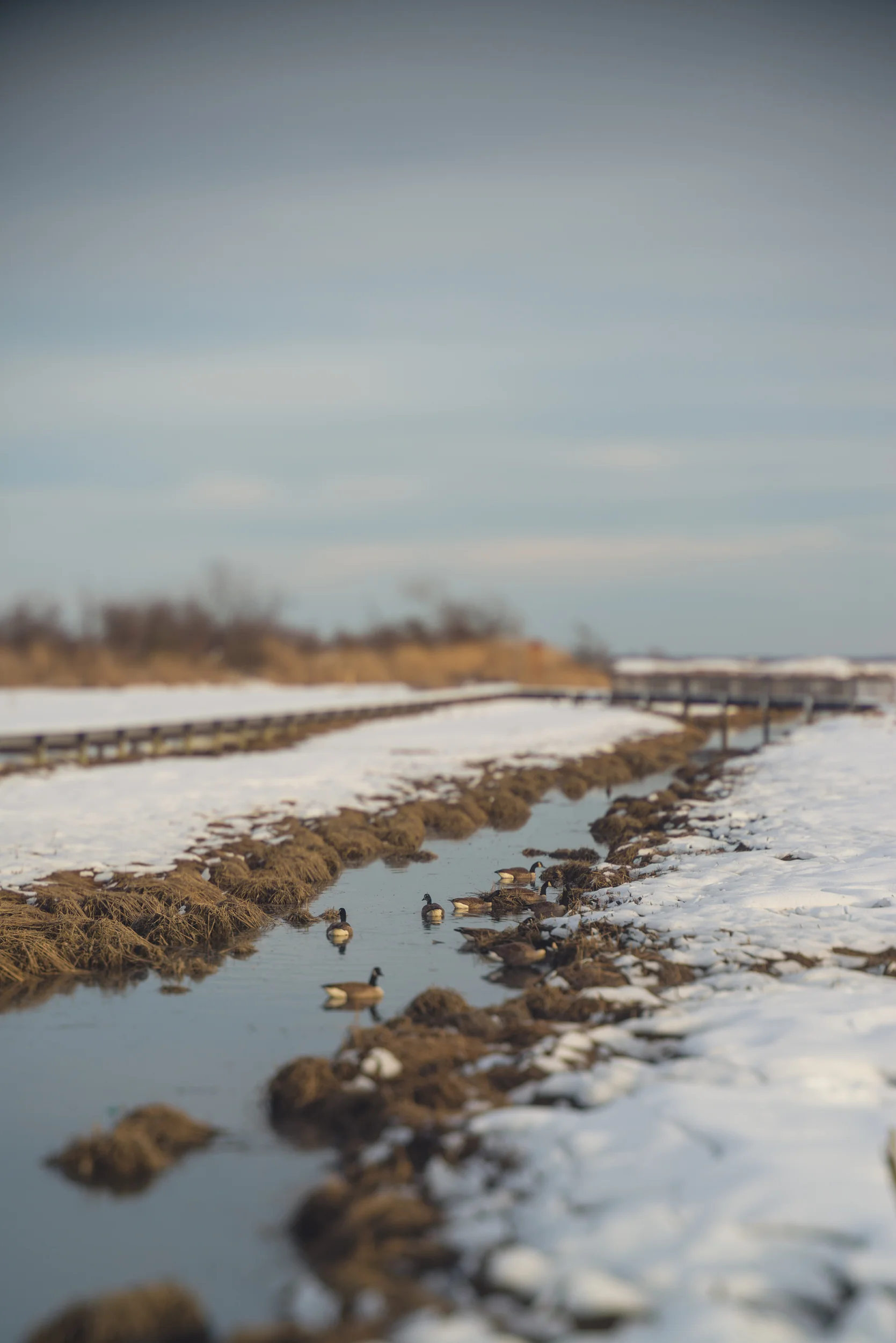 oceanside-winter-Marine-Nature-Study-Area-long-island-63.jpg
