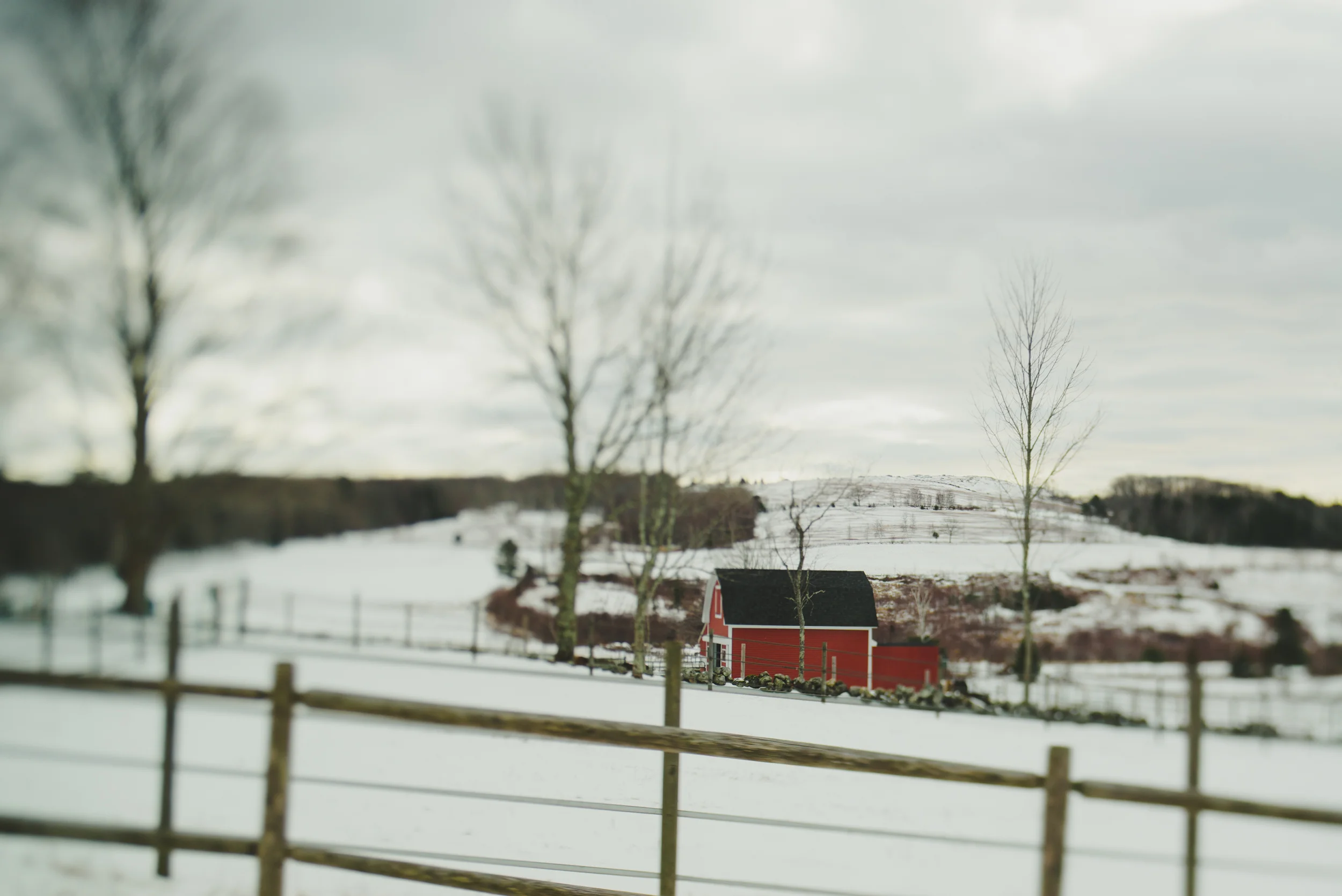 maine-love-winter-new-years-snow-hope-maine-camden-2.jpg