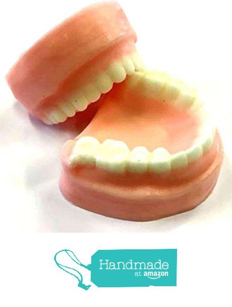 DENTURE SOAPS