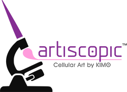 Artiscopic-Logo-250w.png