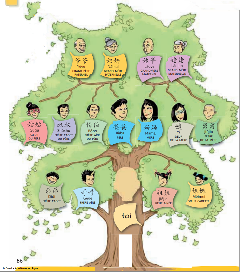 &nbsp; &nbsp; (picture from internet)