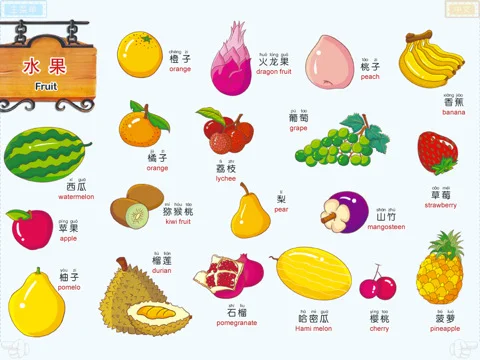 (picture form internet)