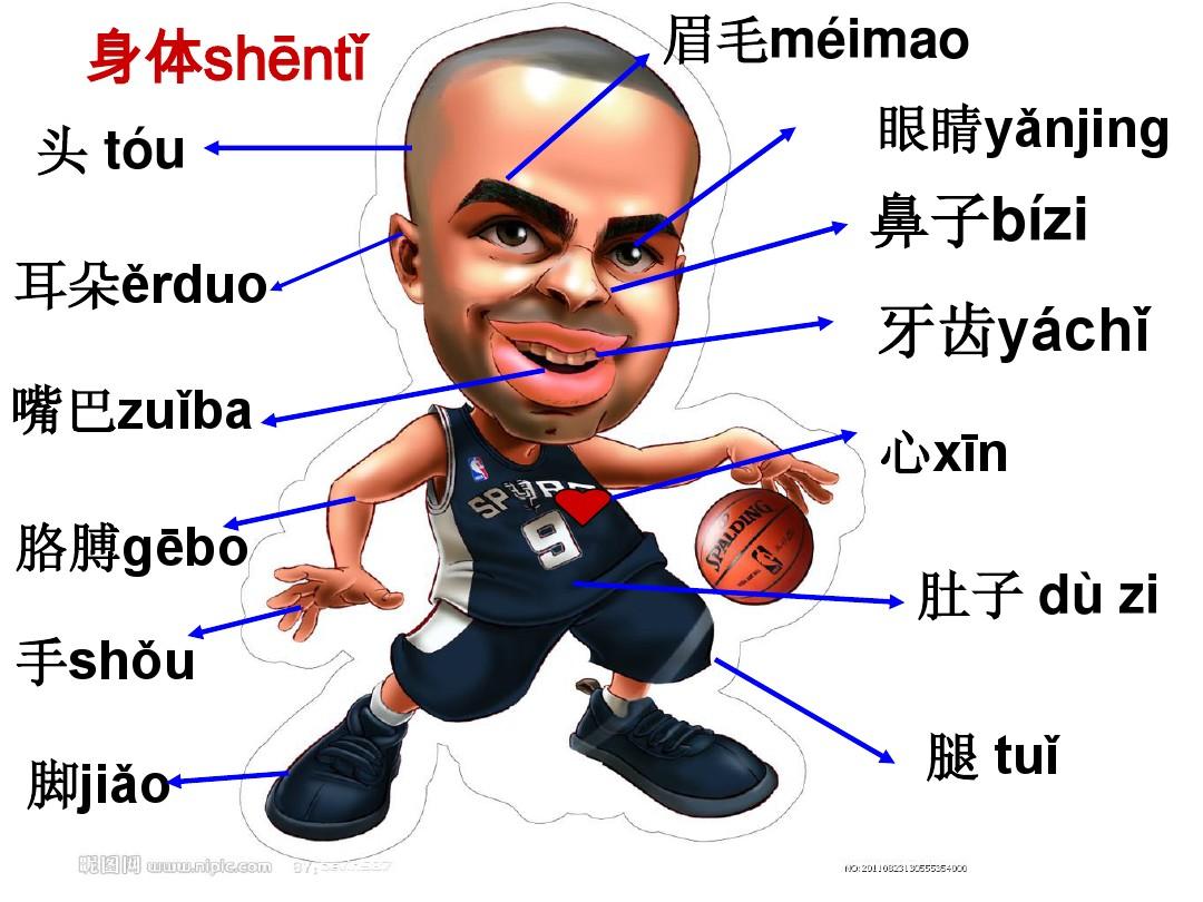 (picture from internet)