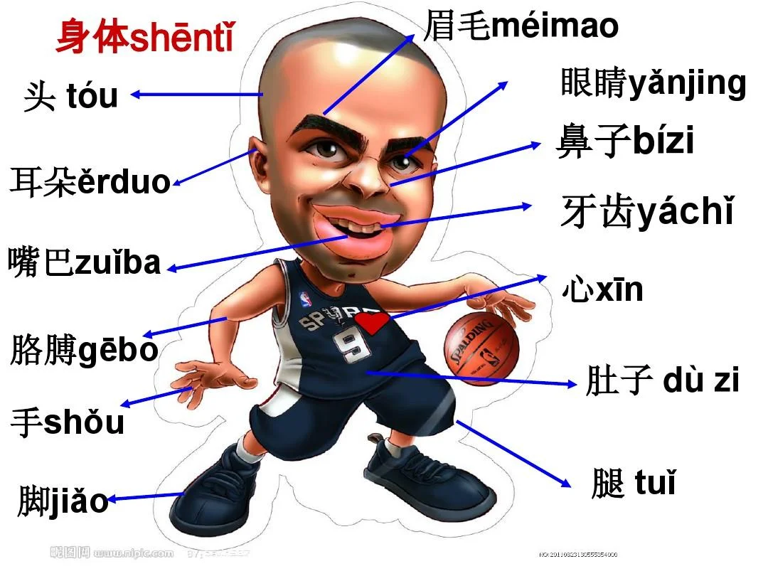 (Picture from internet)