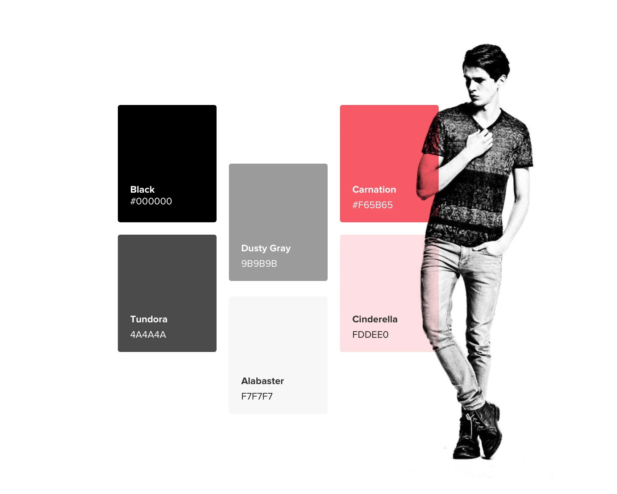 omp-colors.jpg