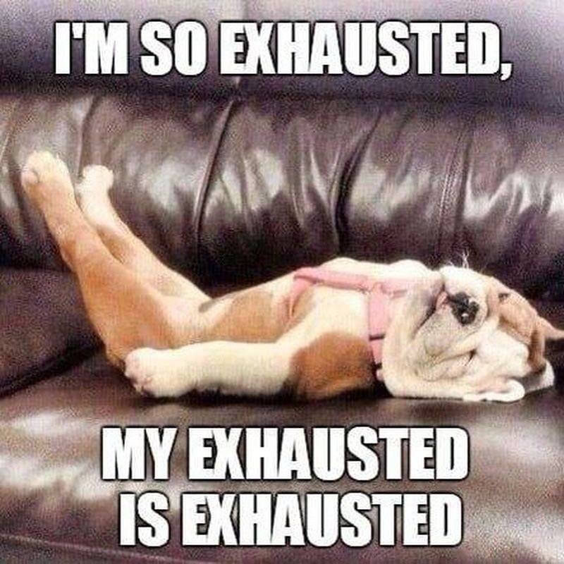 How China learns....