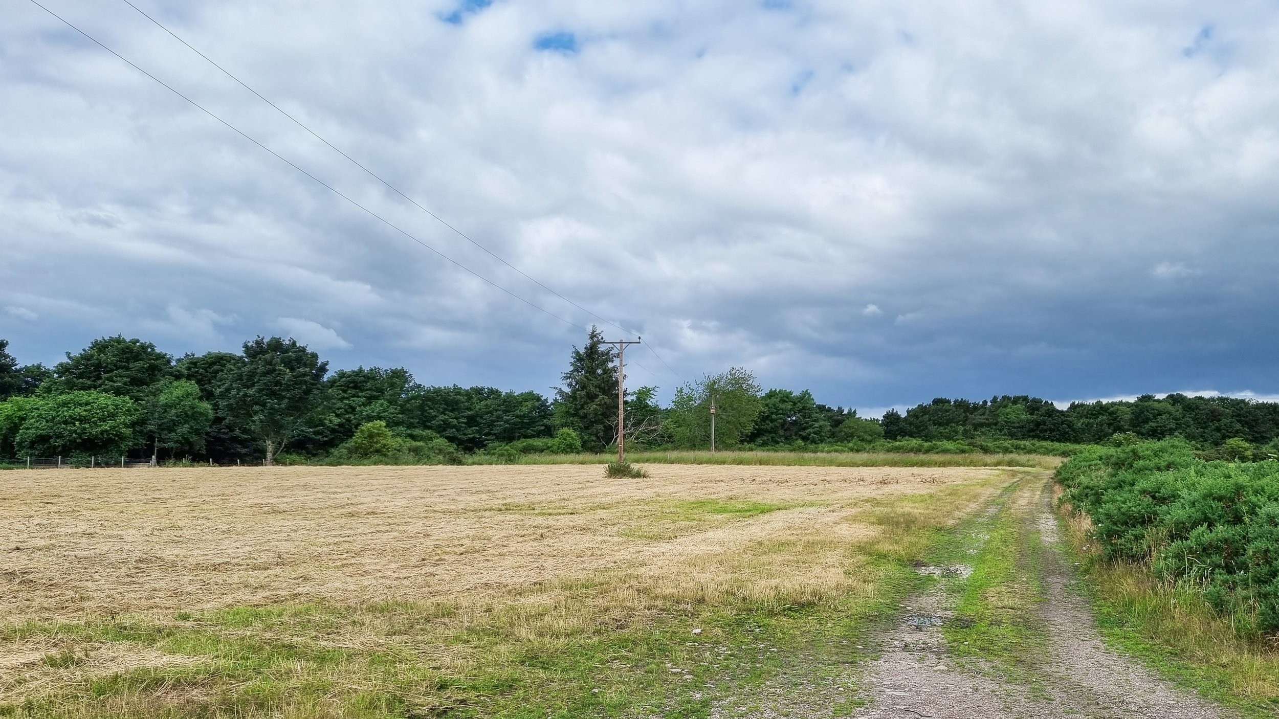 2381 - Drone Visual 02 - existing.jpg