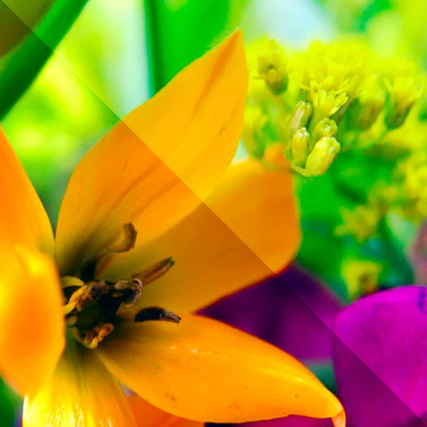 NCC-Website-Thumbnail.jpg