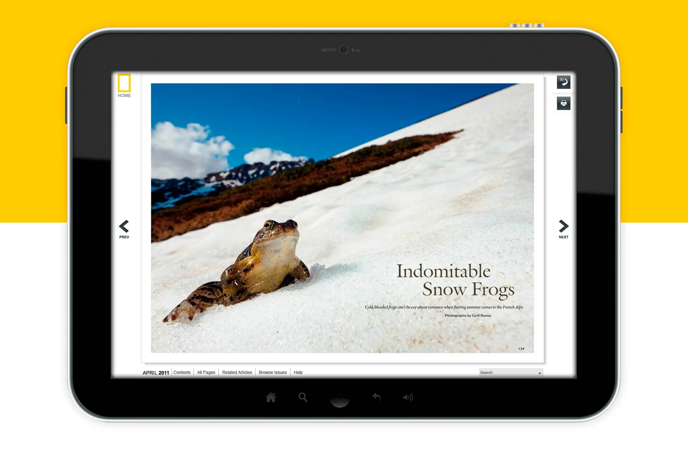 Nationalgeo_image-01.jpg