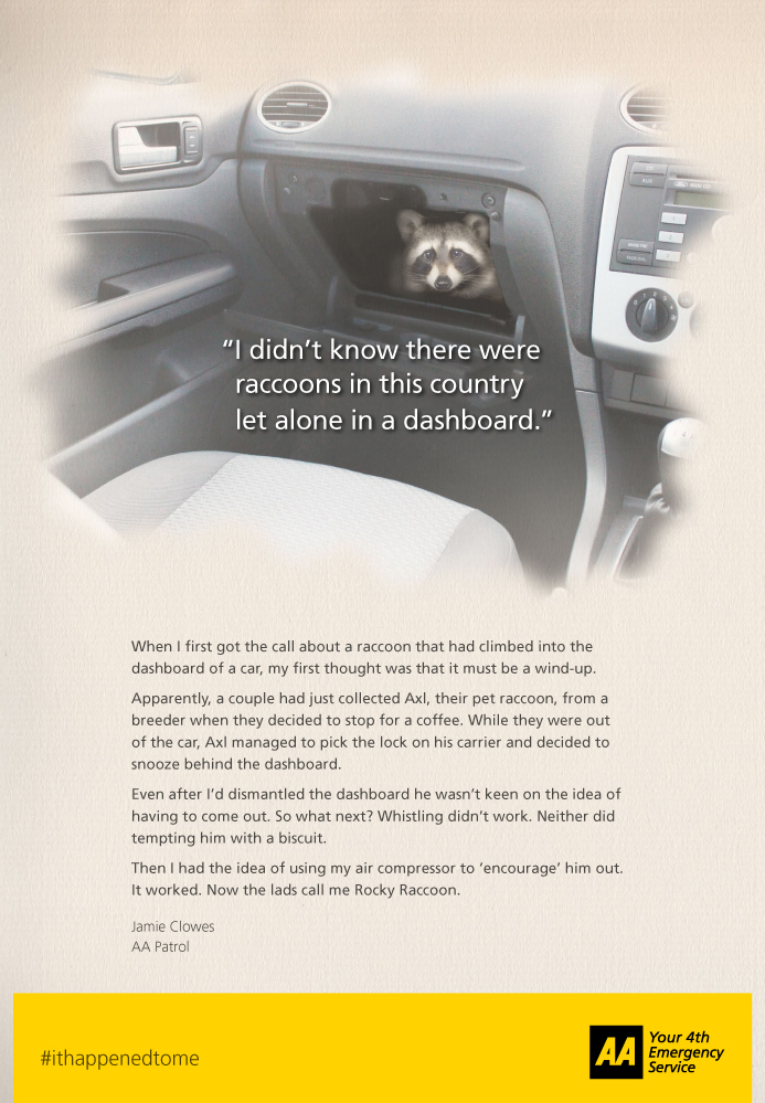 AA Story raccoon ad.jpg