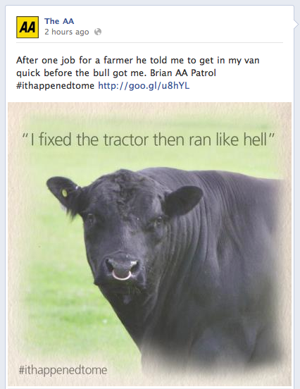 FB Bull.png