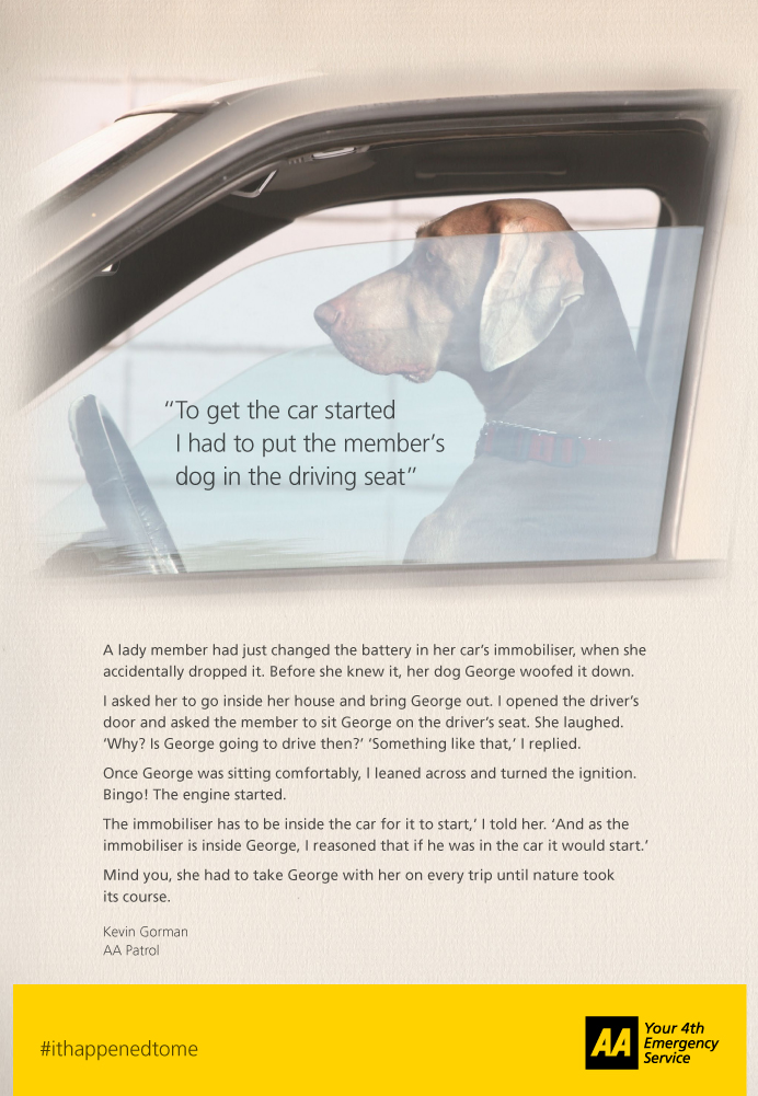 AA Story dog ad.jpg