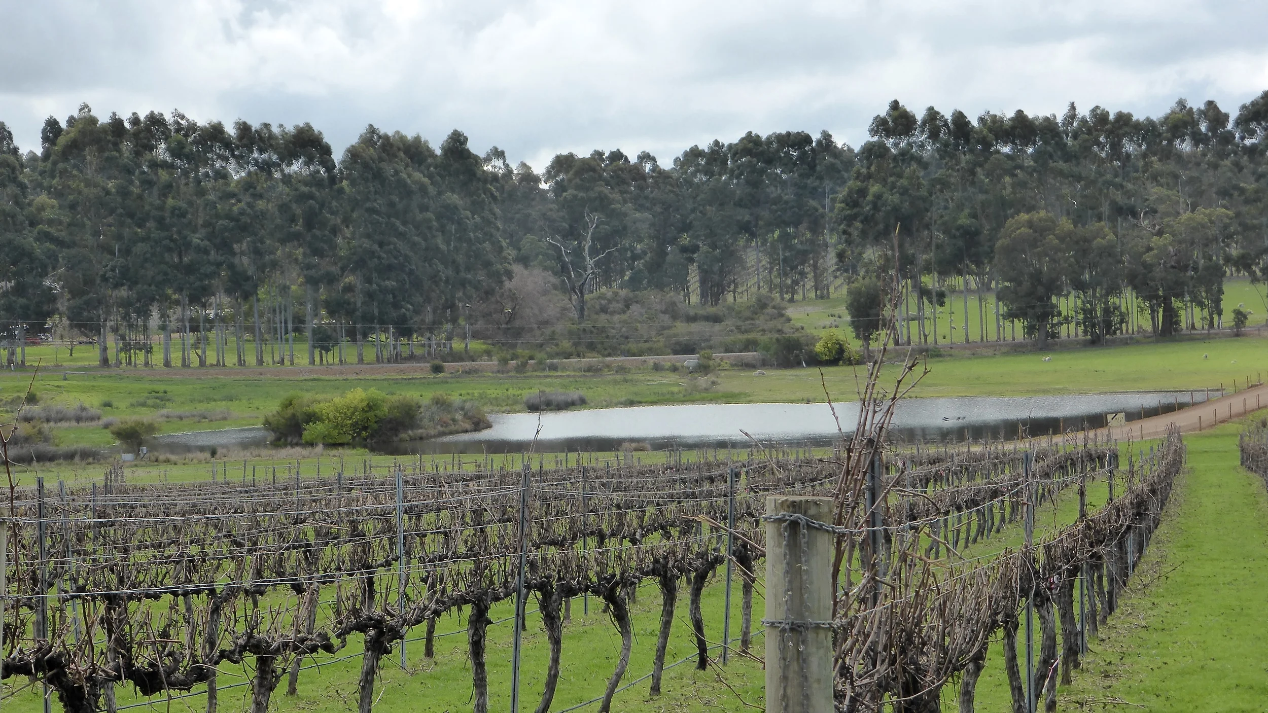Margaret River Wine Tour: What to expect