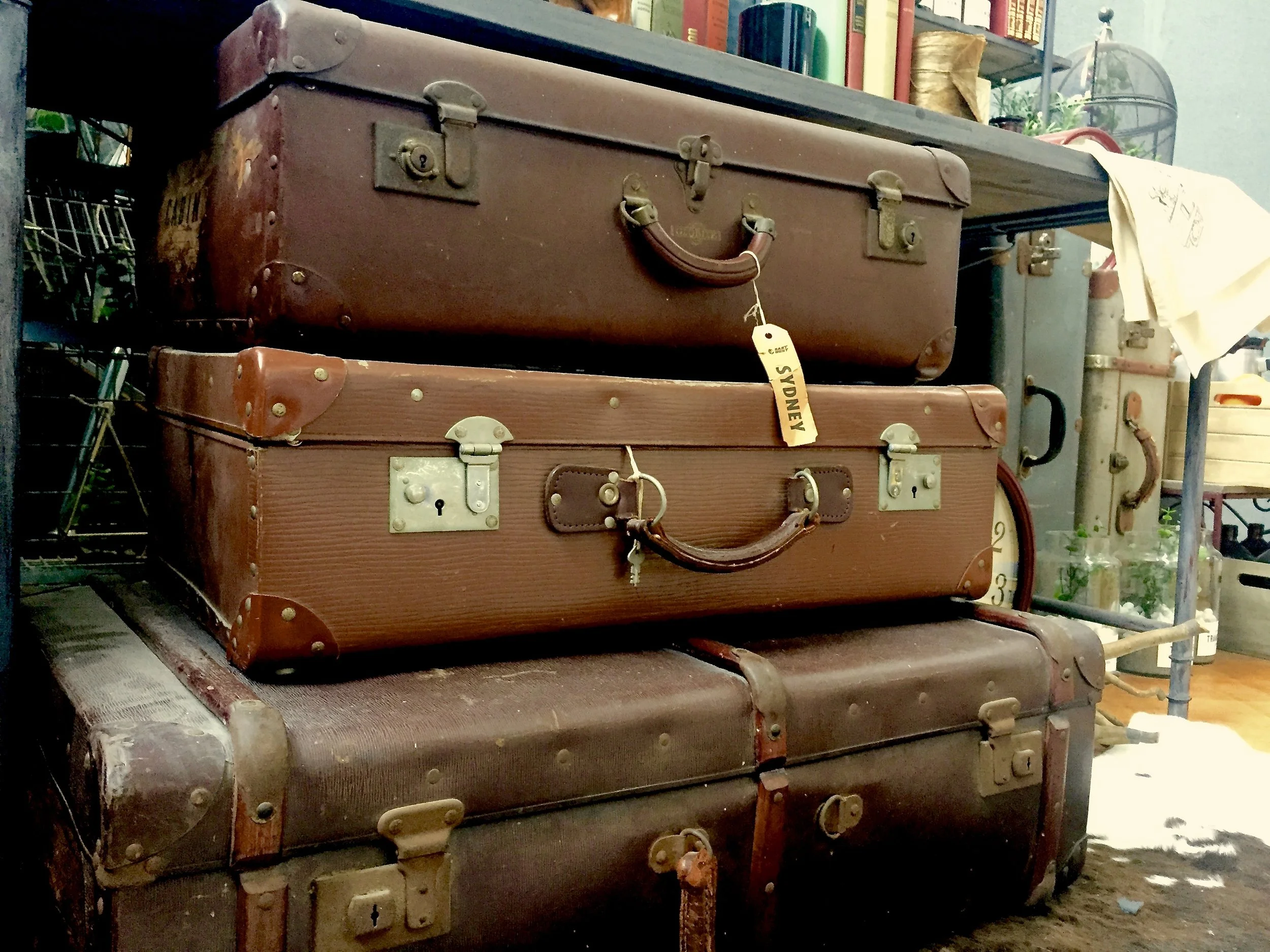 Twelve really useful things to know before visiting Sydney