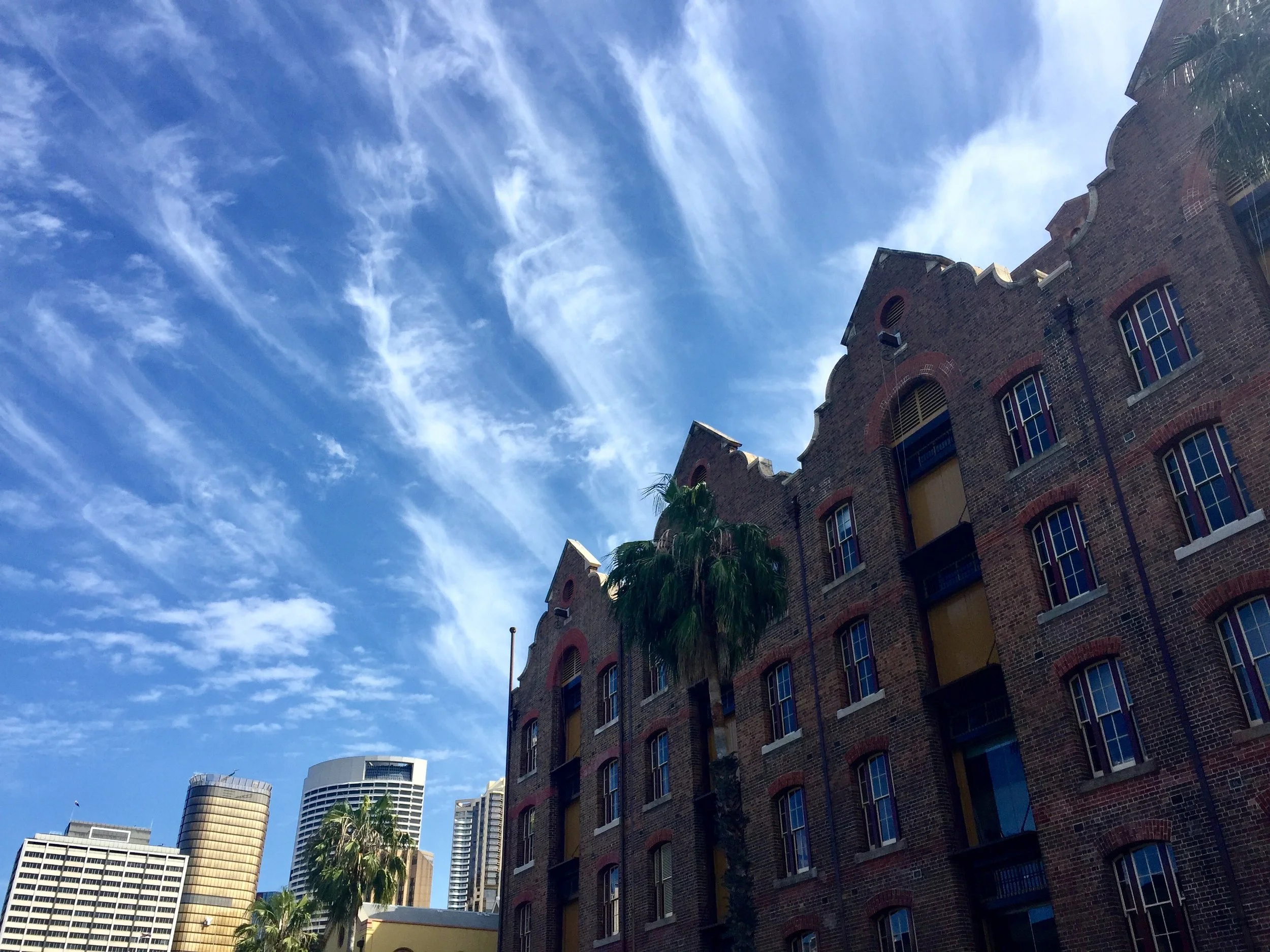 Housesitting: how to live rent free around the world