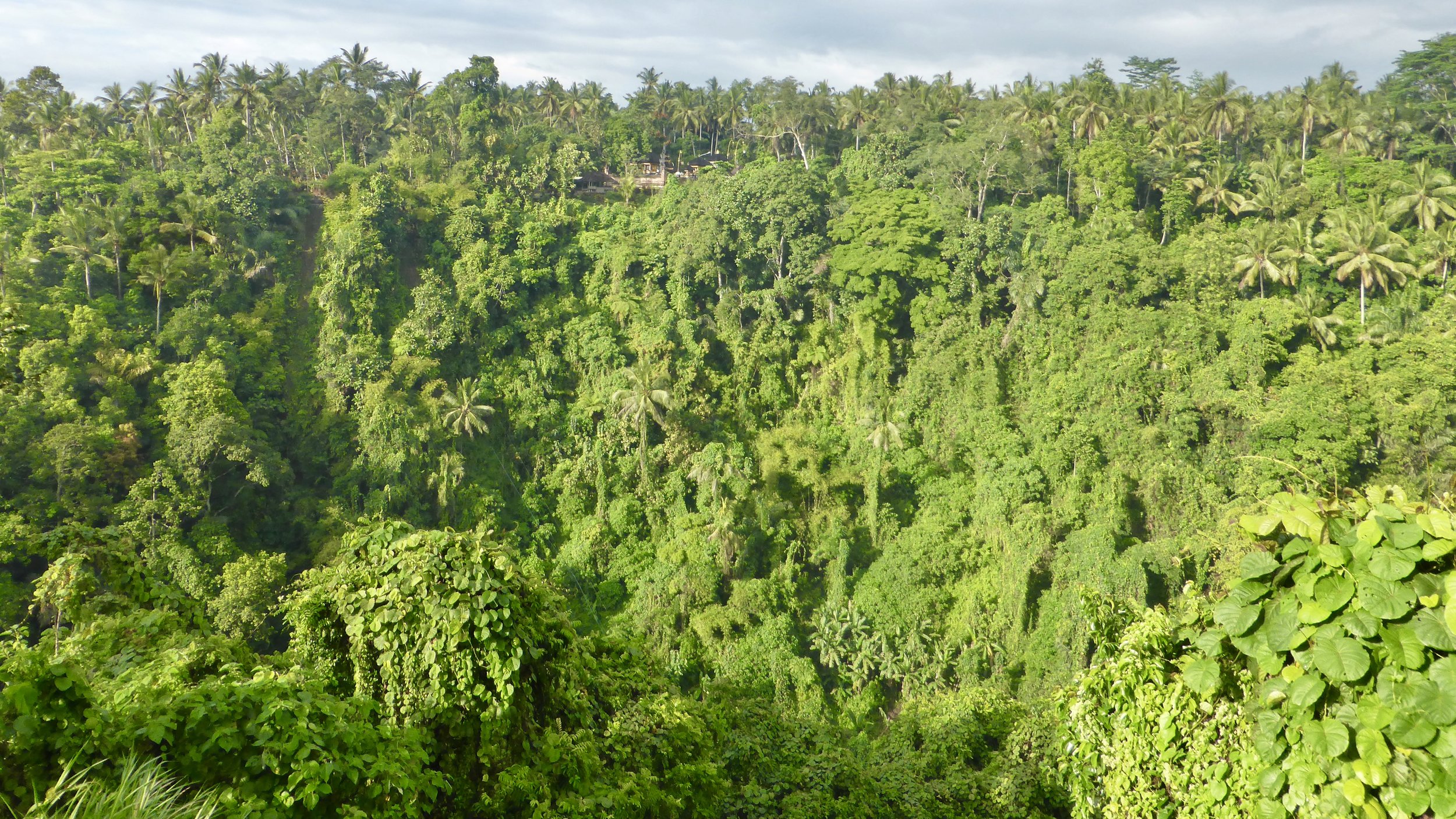 View from our hotel room, Alila Ubud, Payangan Village, Bali, Indonesia