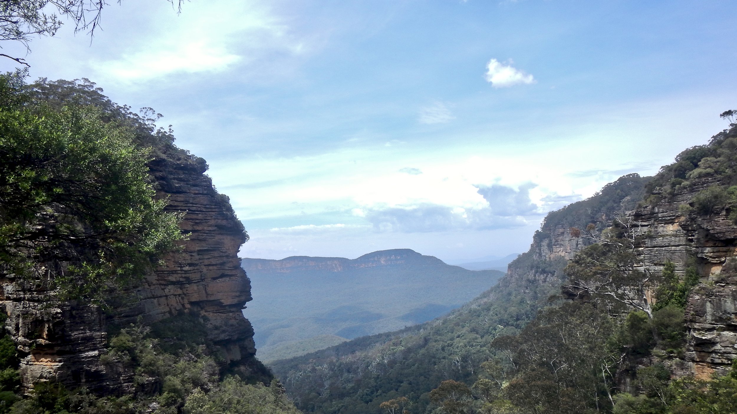 Blue Mountains Lookout, near Leura, New South Wales