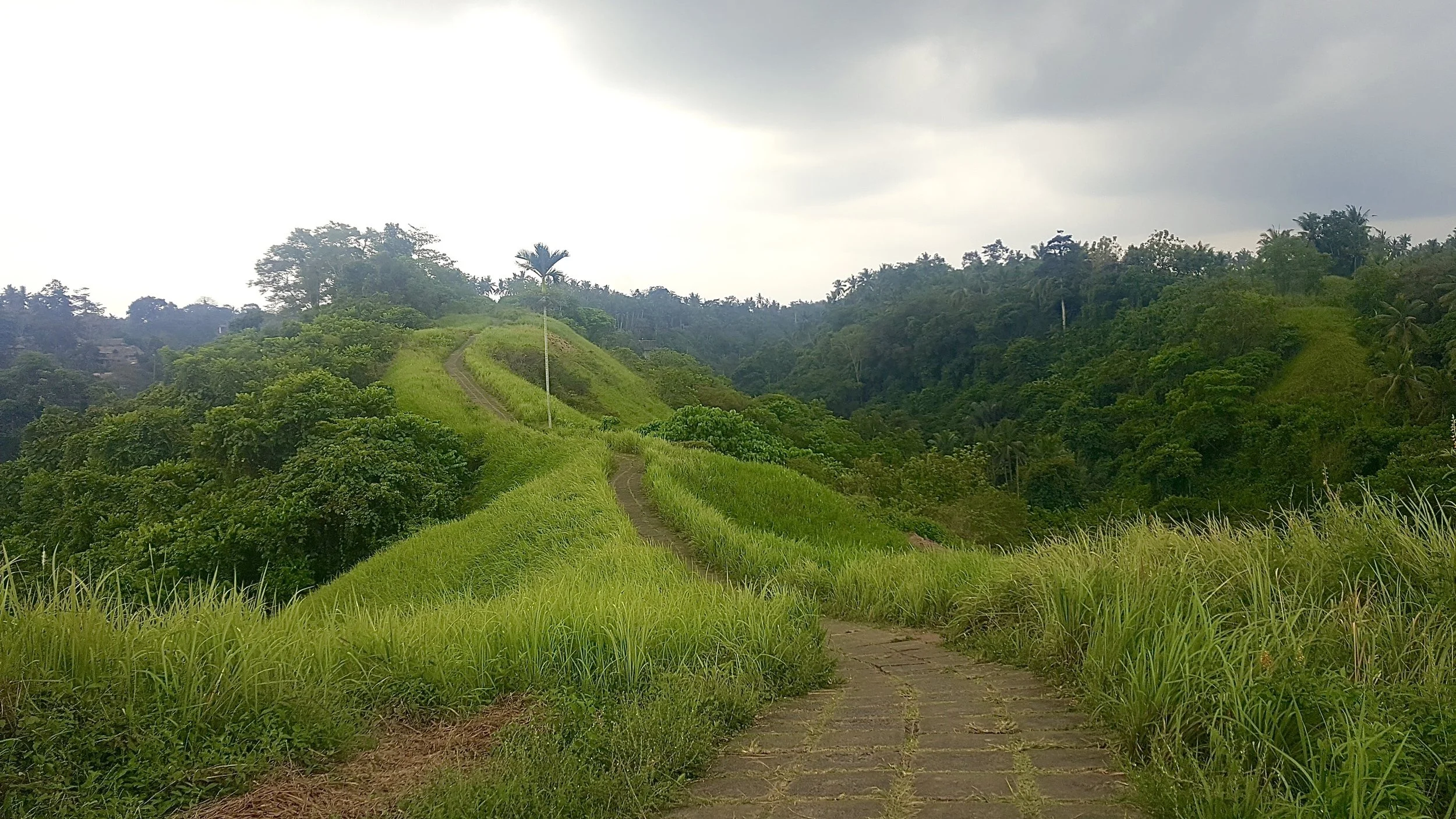 Campuhan Ridge Walk, Ubud, Bali, Indonesia