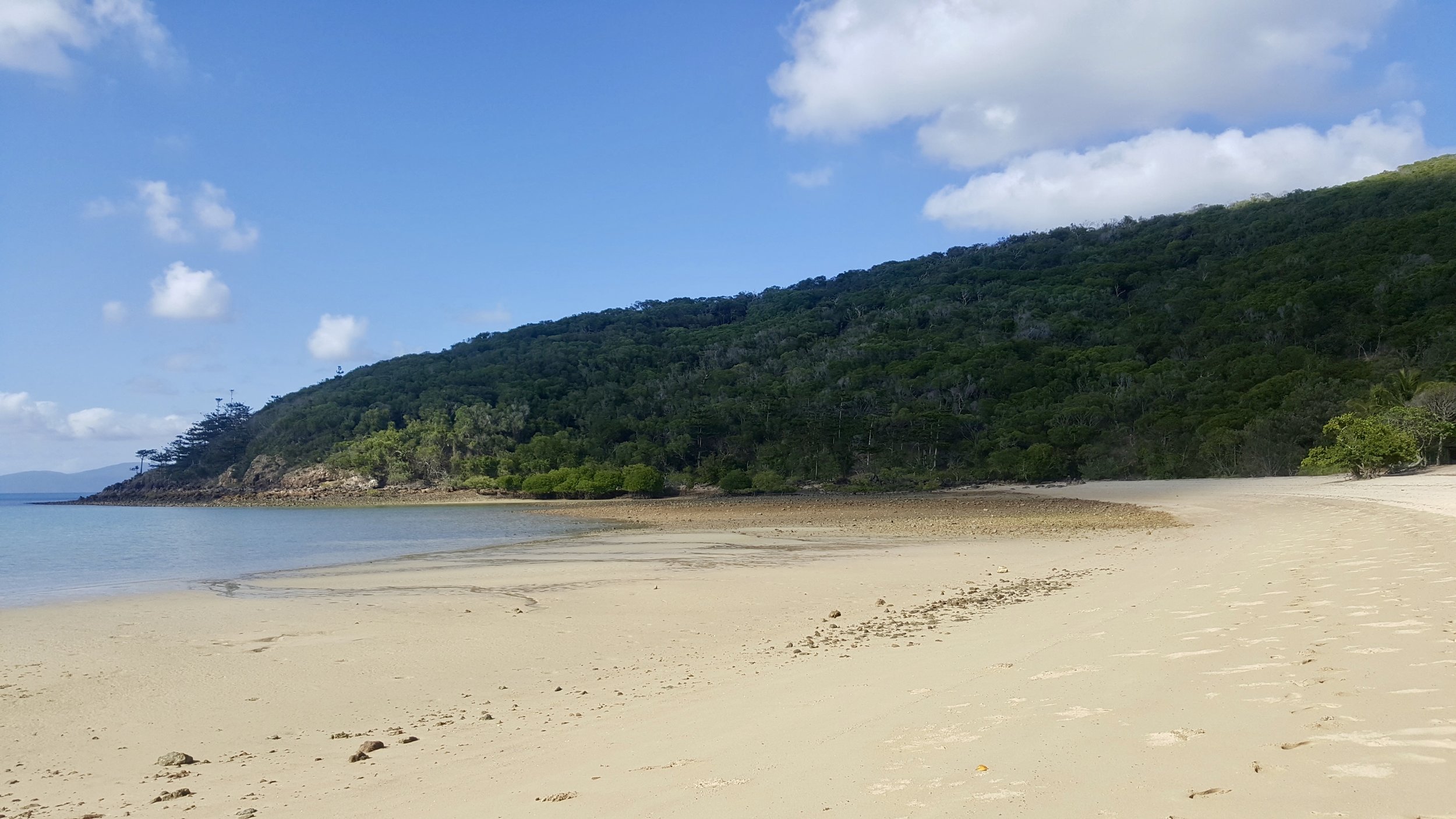 Coral Cove Beach, Hamilton Island, Whitsundays, Queensland, Australia