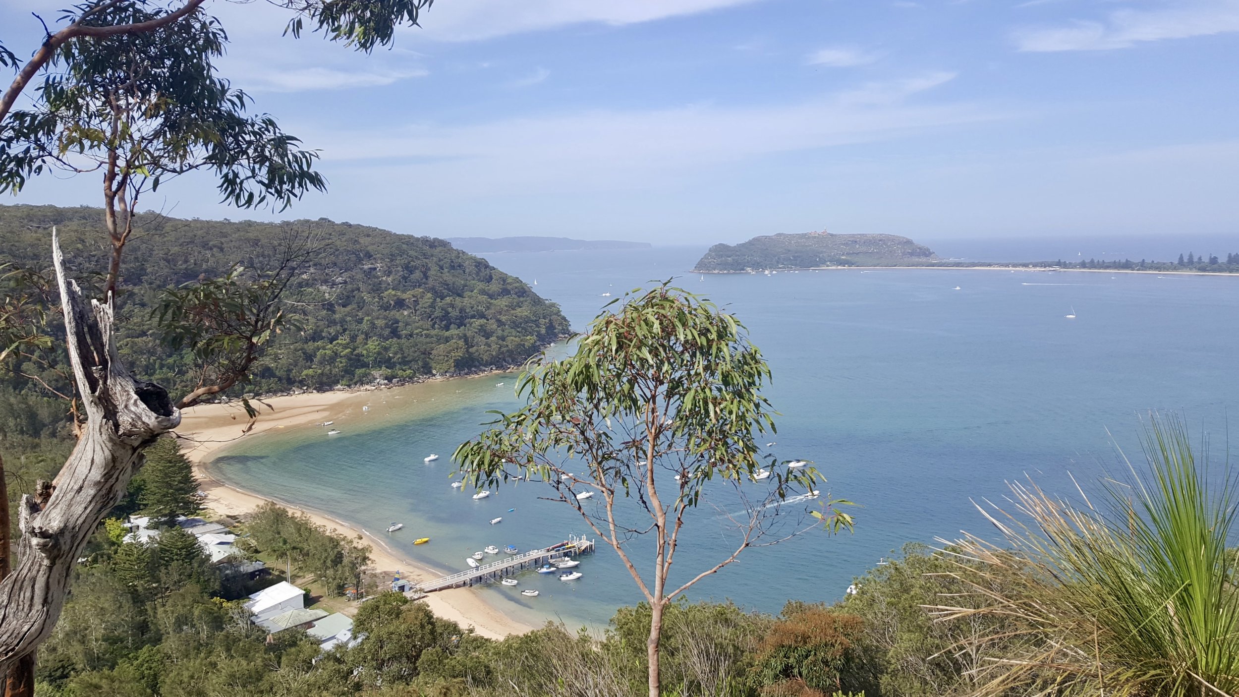 View from the Basin to Mackerel Walk, Ku-ring-gai Chase National Park, Sydney, New South Wales
