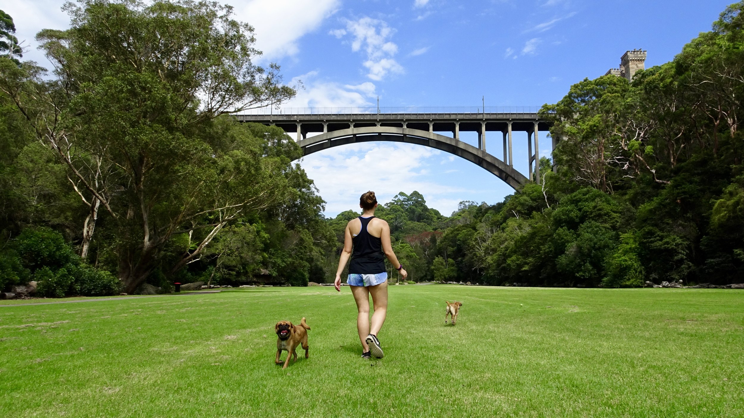 Tunks Park, Northbridge