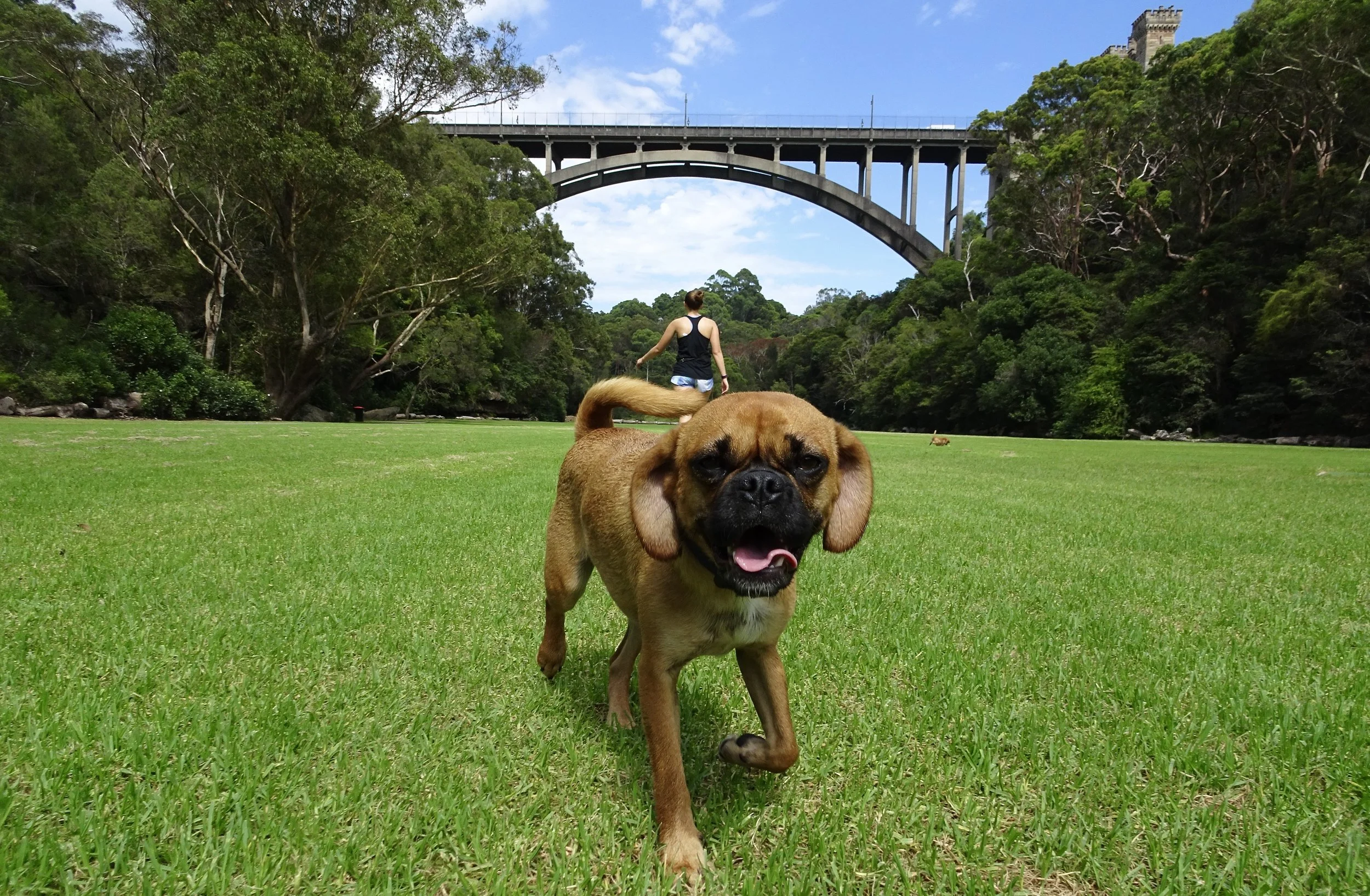 Tunks Park, Northbridge, Sydney, Australia