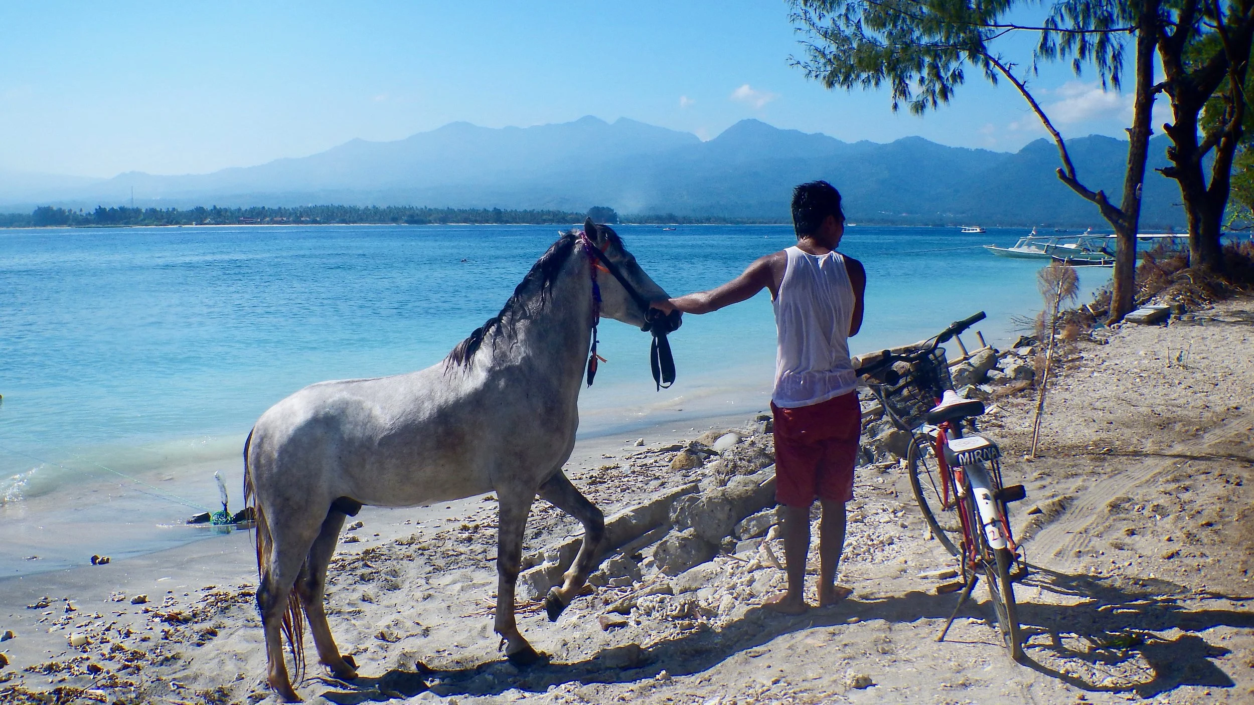 Horse on the beach, Gili Air, Lombok, Indonesia, @acrosslandsea