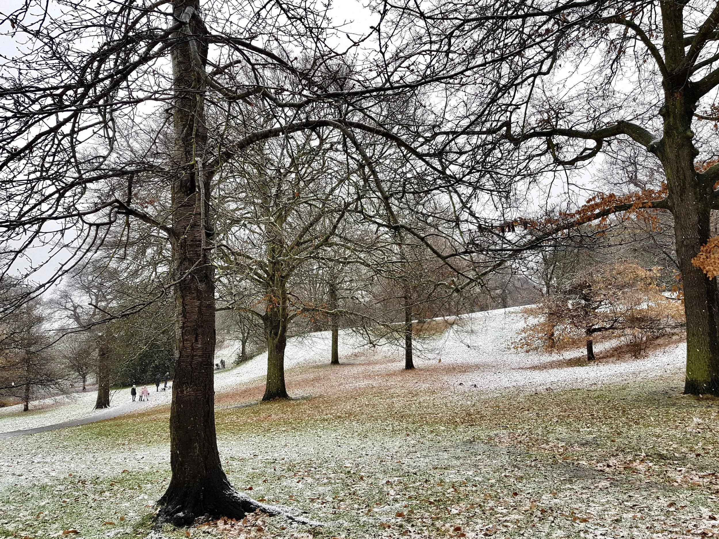 Greenwich park