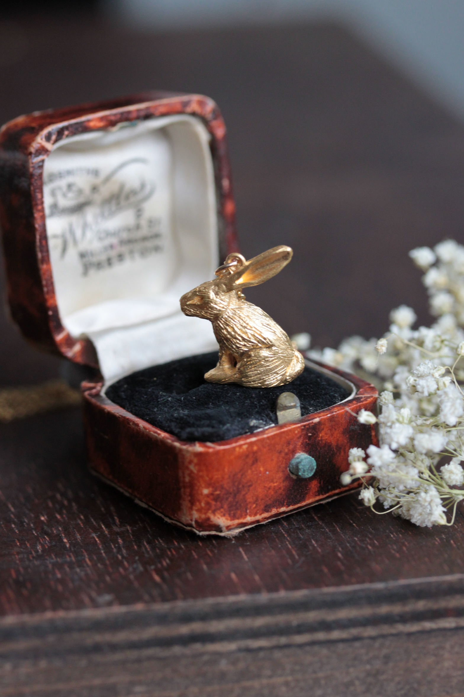 Mister rabbit glimmering in yellow gold.