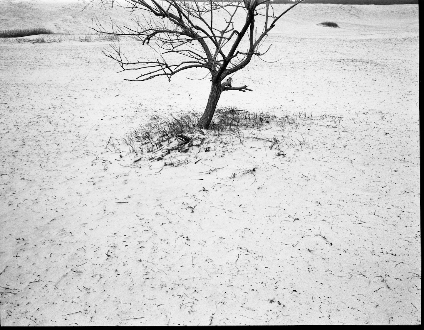 Sand, Shinduri, Korea