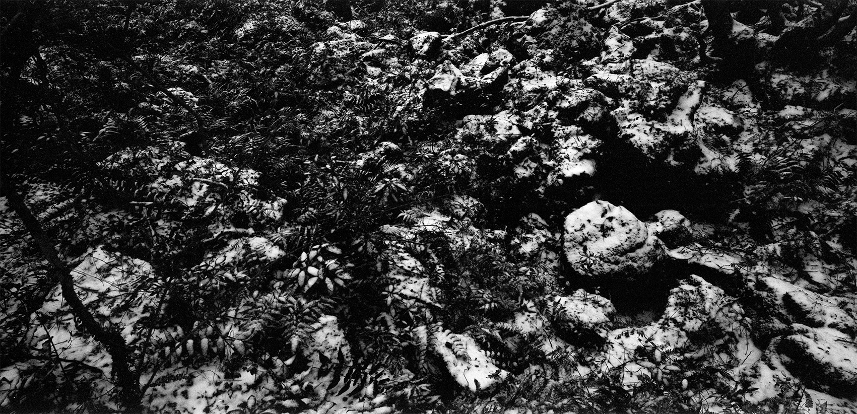 스크린샷 2017-02-21 오전 1.10.15.png