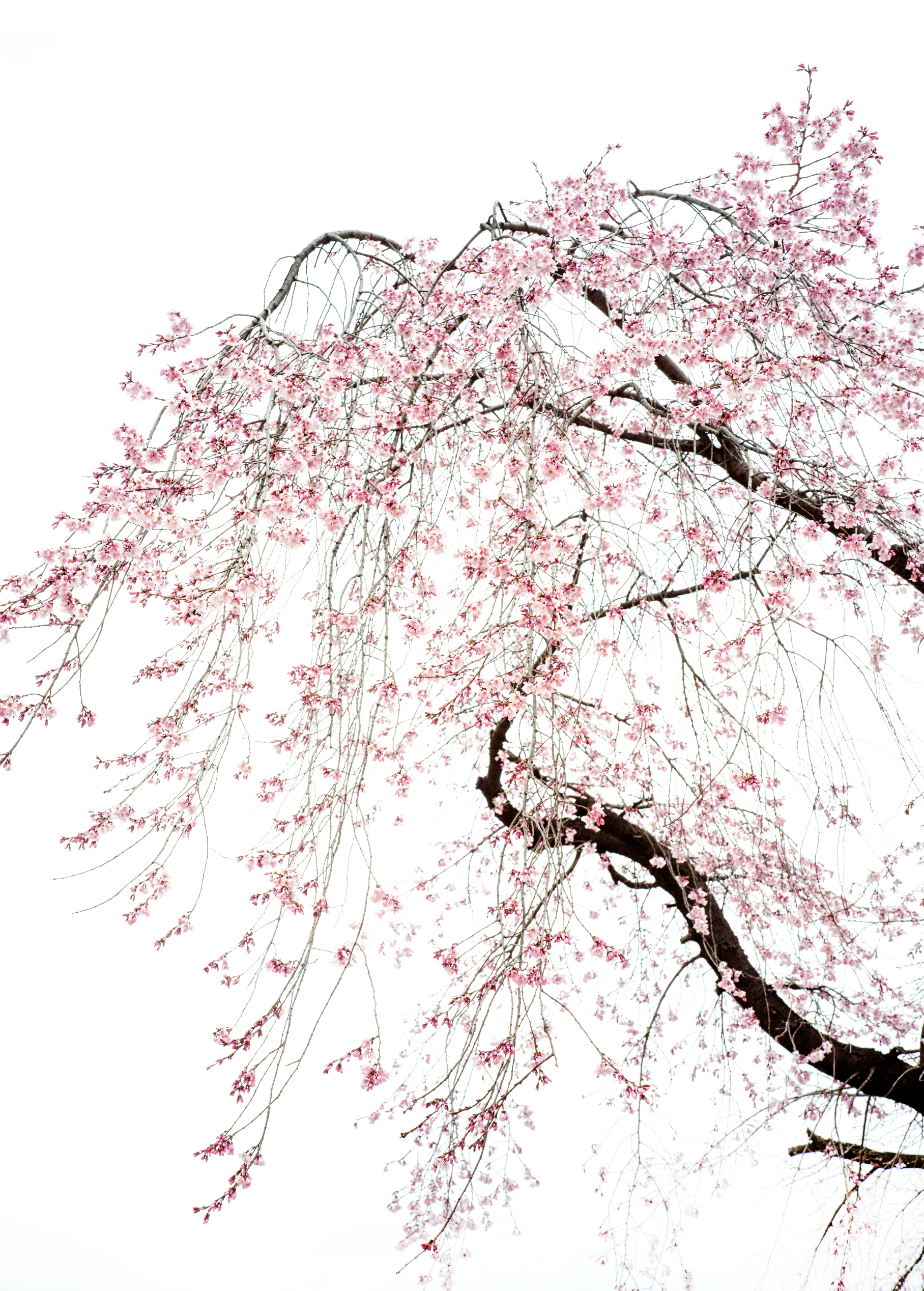  2026  200X140 