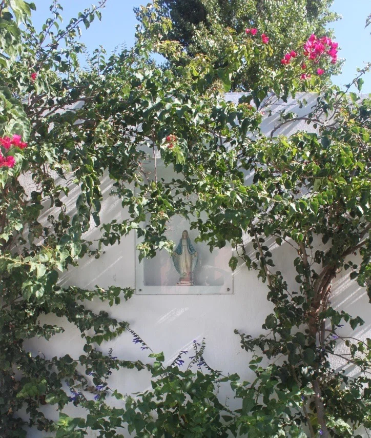 In the heat of summer, everything seemed to be overgrown in the best way.
