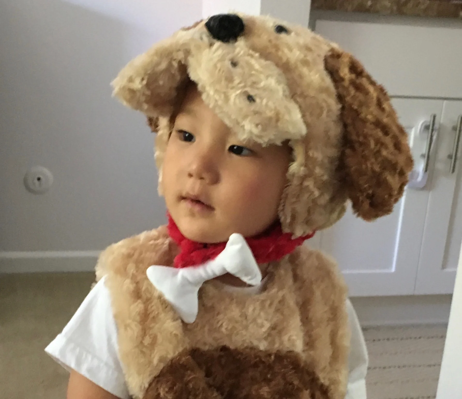 4_Halloween2016.jpg