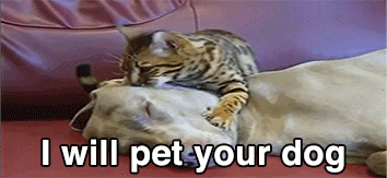 hypnodog_short.gif
